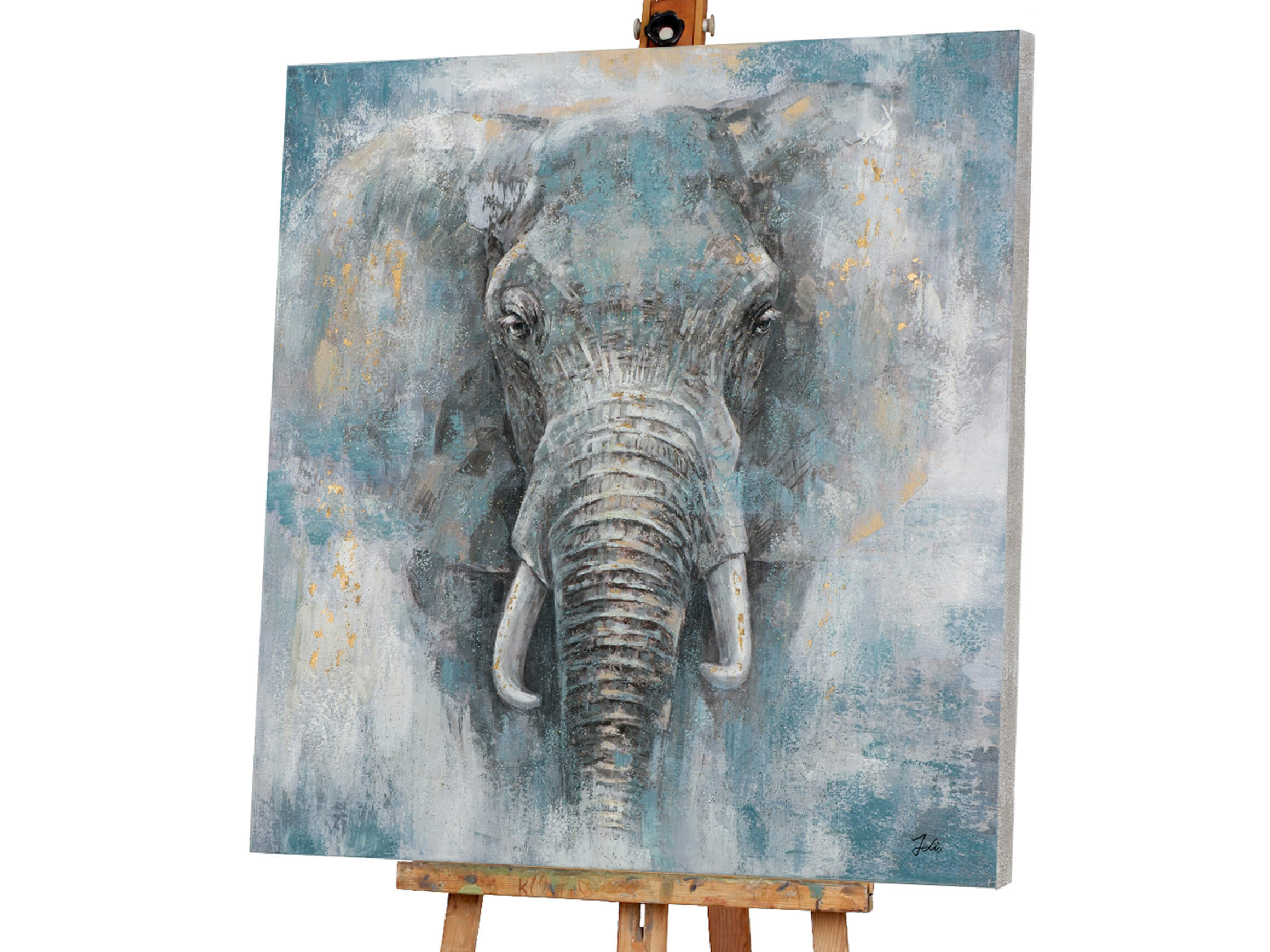 Bild Elefantenkopf image LAND