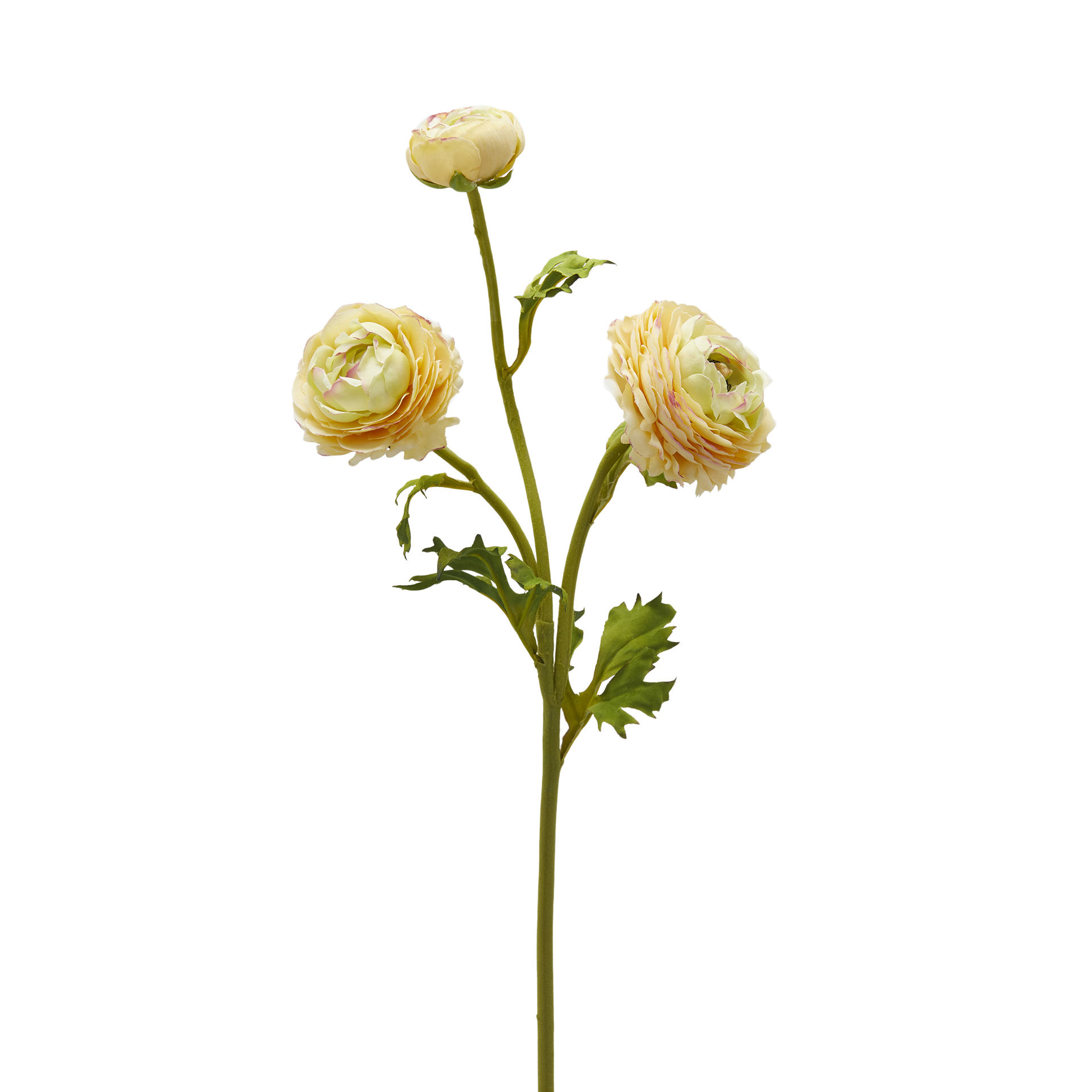 Edg Kunstblume Ranunkel H: 60 cm  | Schubiger Möbel