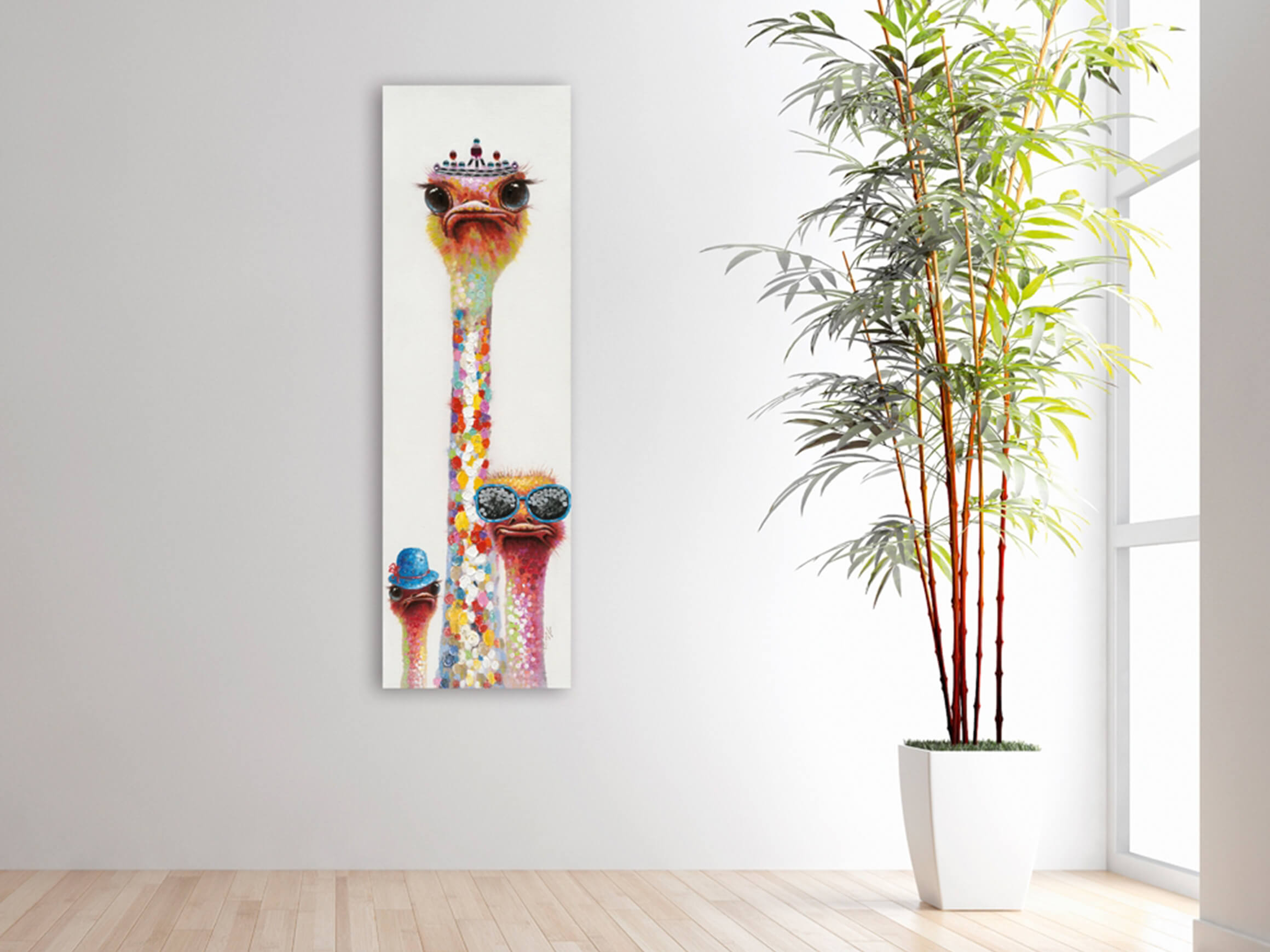 dracaena angustifolia Shop Dracaena Angustifolia Plant online main image 1