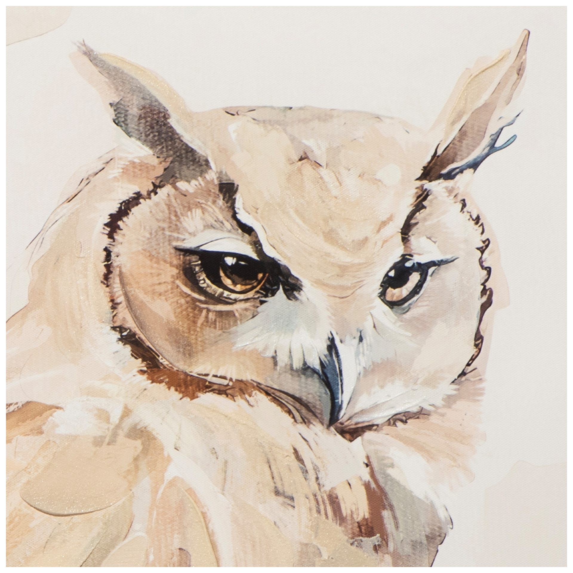 Bild Natural Owl image LAND / Grösse: 80 x 80 cm Bild Natural Owl image LAND / Grösse: 80 x 80 cm