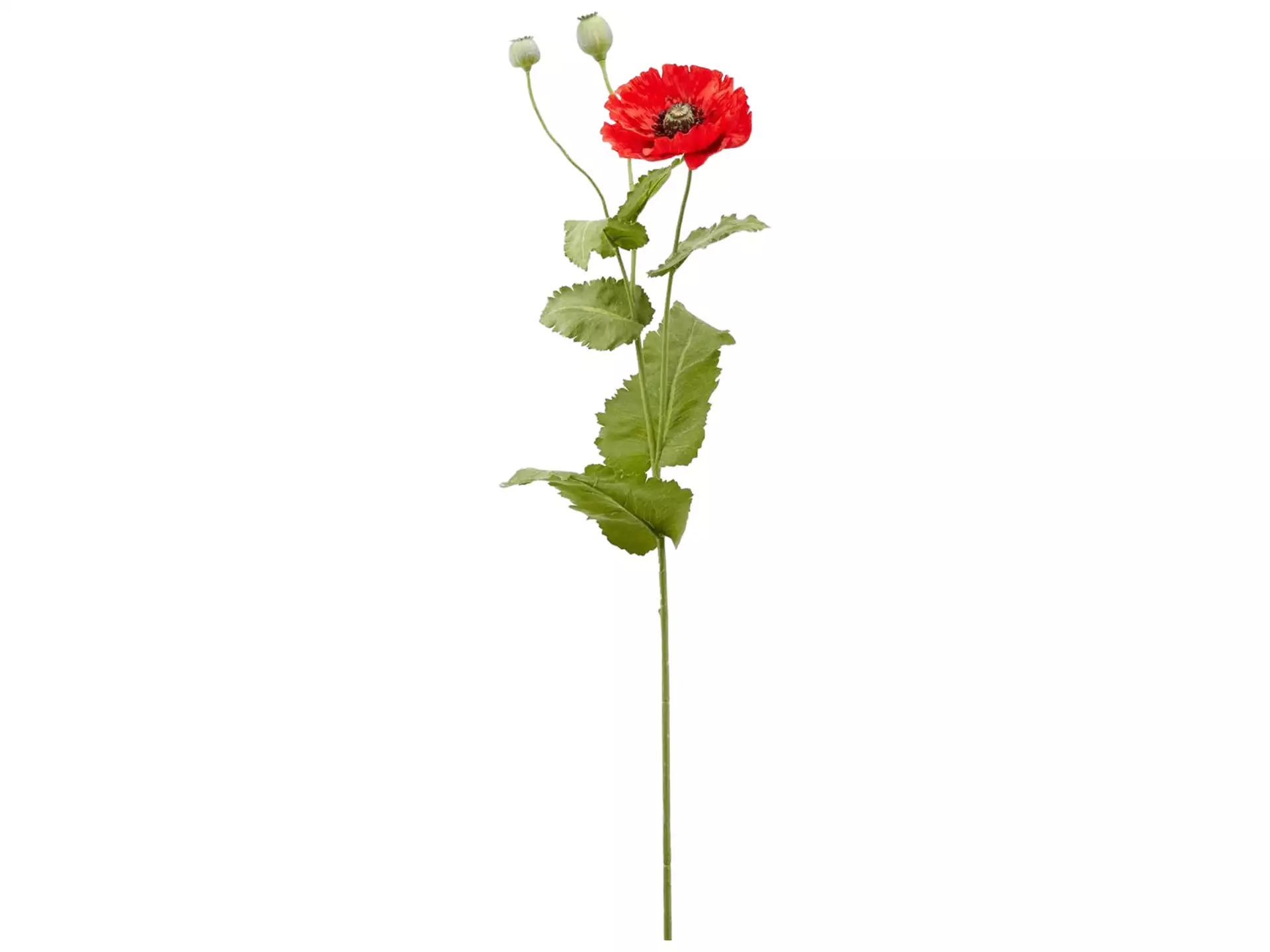 Kunstblumen Mohn Rot H: 110 cm Edg