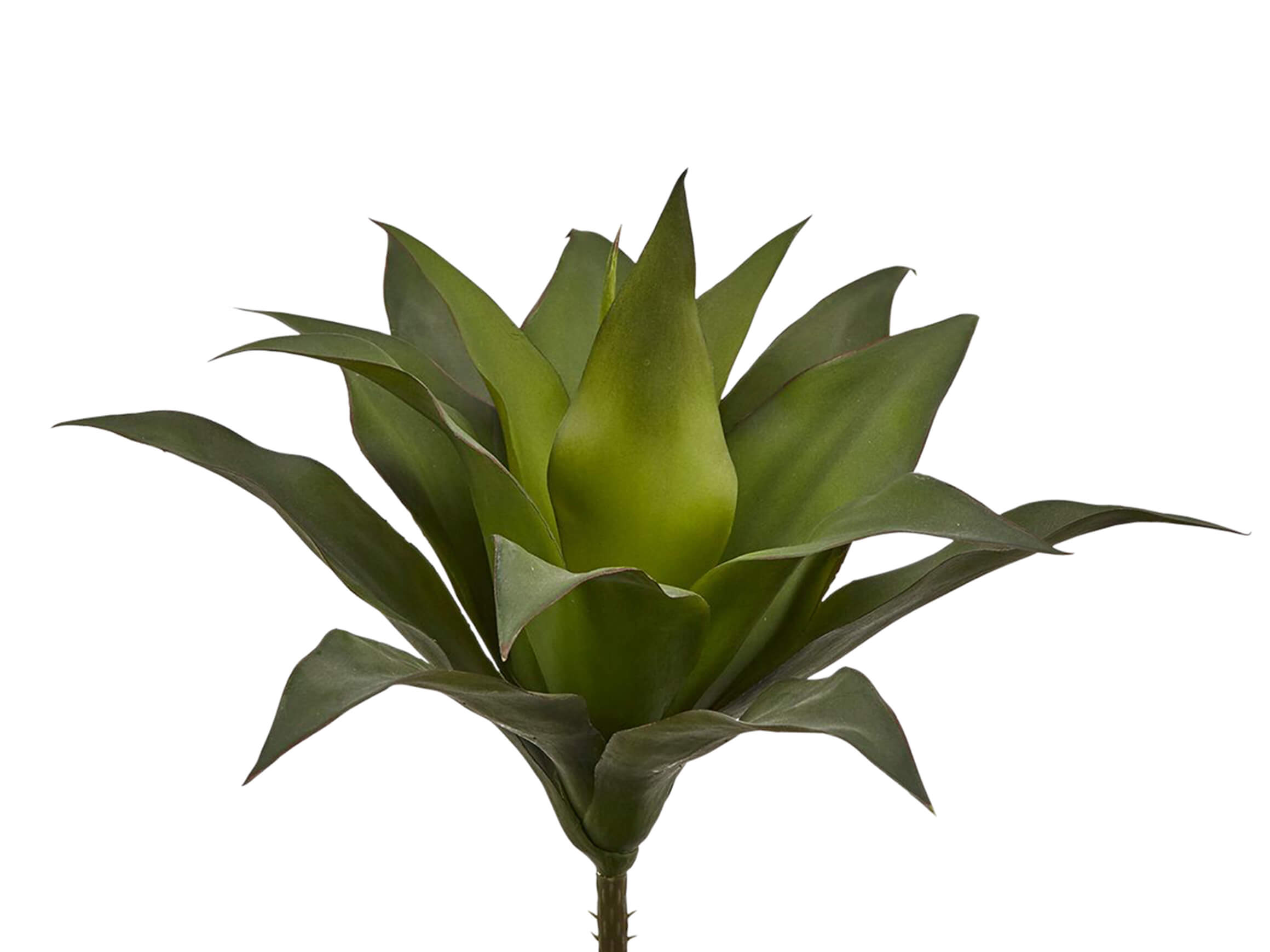 Kunstblume Agave Grün H: 28 cm Edg