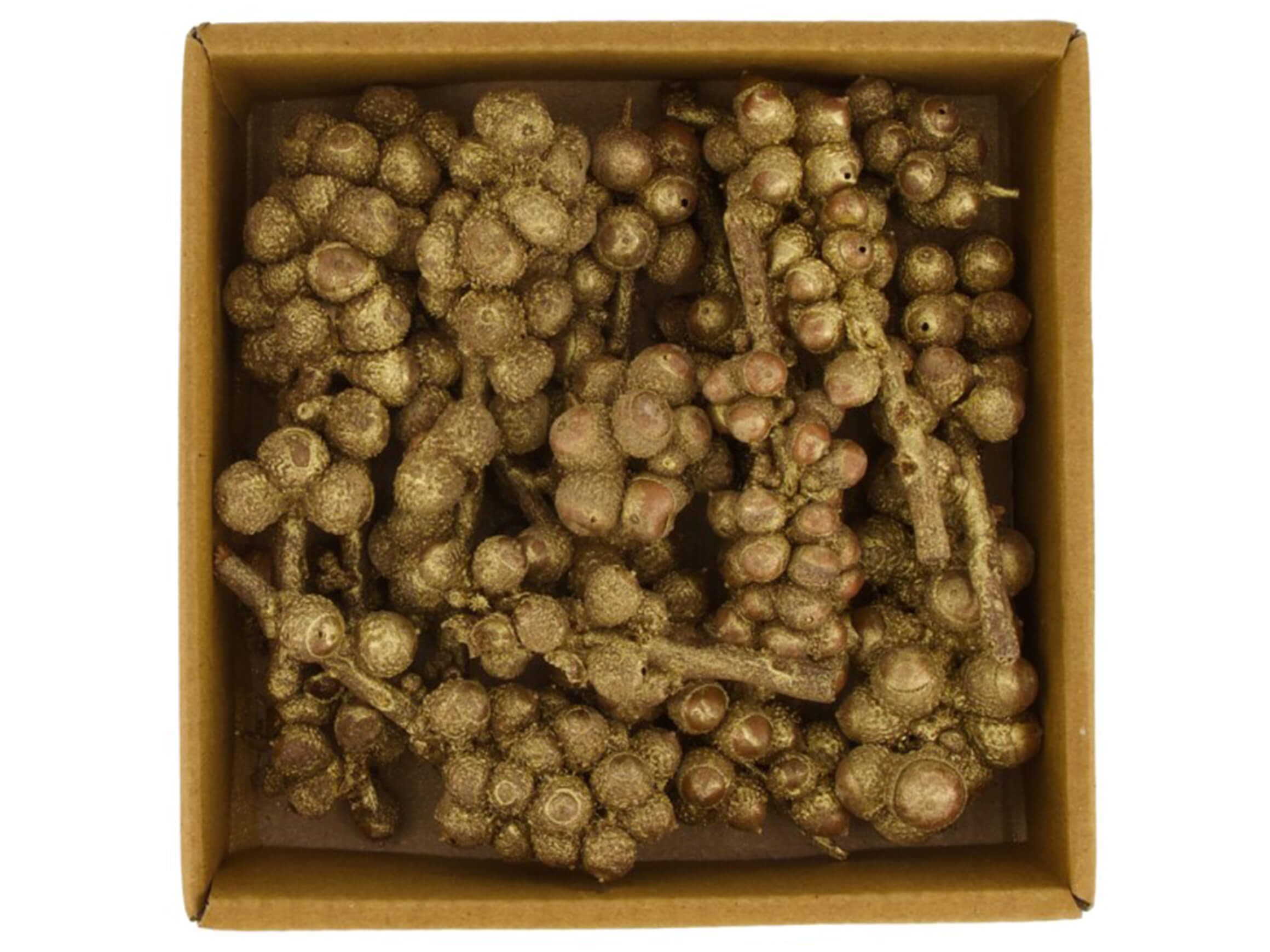 Dijk Zierfrucht Acorn, Gold-Gewischt D:  cm Gelb | Schubiger Möbel