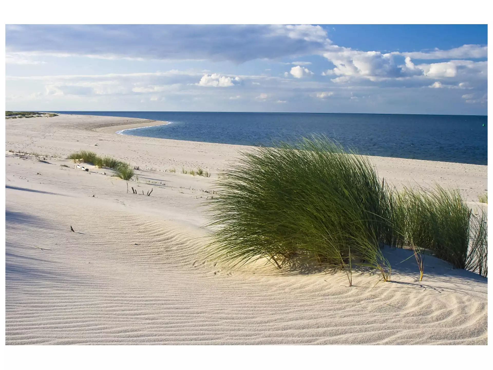 Digitaldruck auf Acrylglas Strand mit Dünengras image LAND / Grösse: 150 x 100 cm