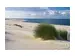 Digitaldruck auf Acrylglas Strand mit Dünengras image LAND / Grösse: 150 x 100 cm