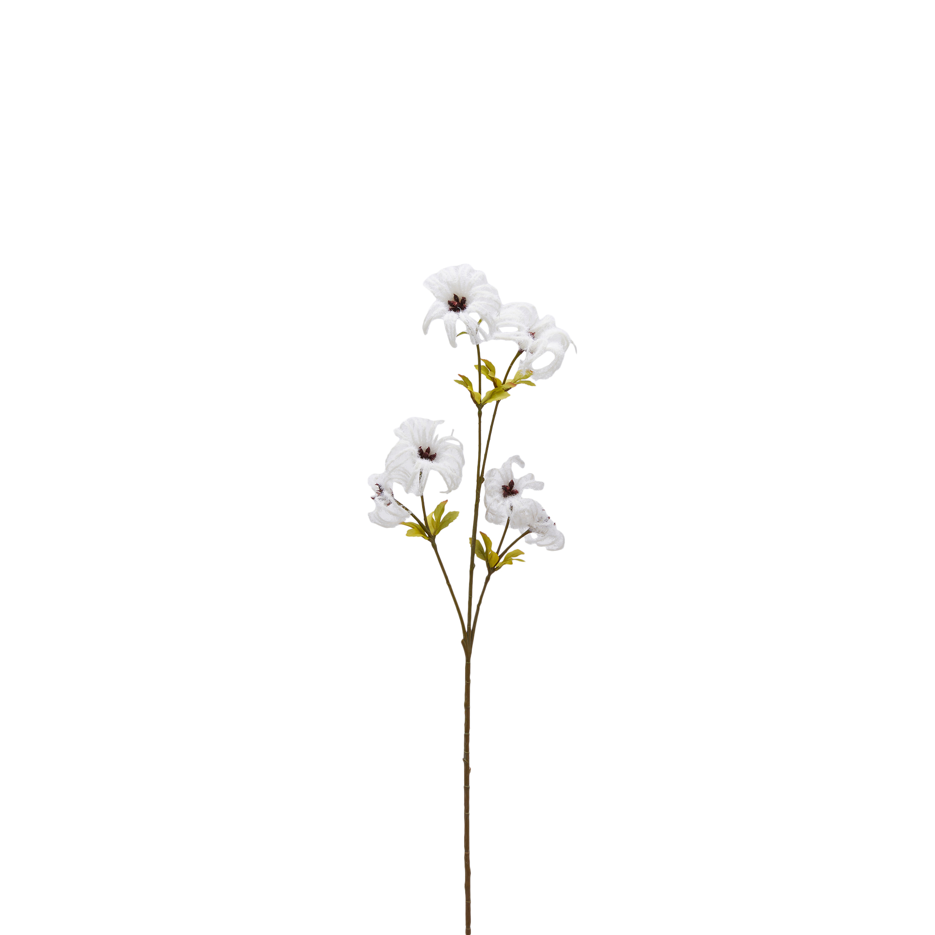 Edg Kunstblume Clematis Beige H: 64 cm Beige | Schubiger Möbel