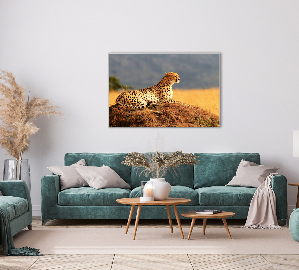 Bild mit Rahmen-Gepard-image LAND