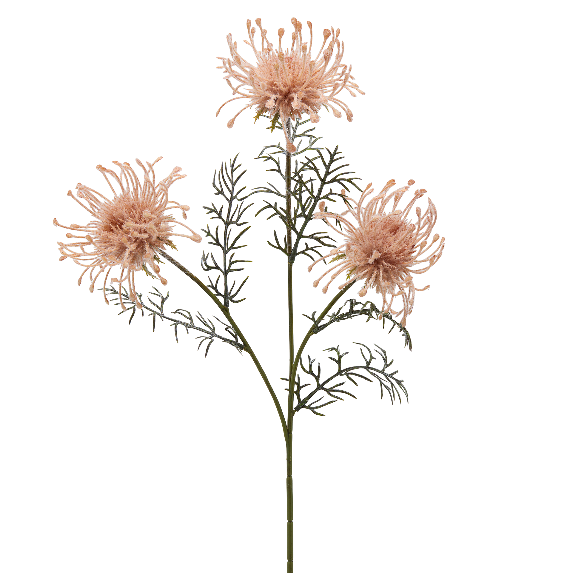 Kunstblumen Protea H: 65 cm Edg