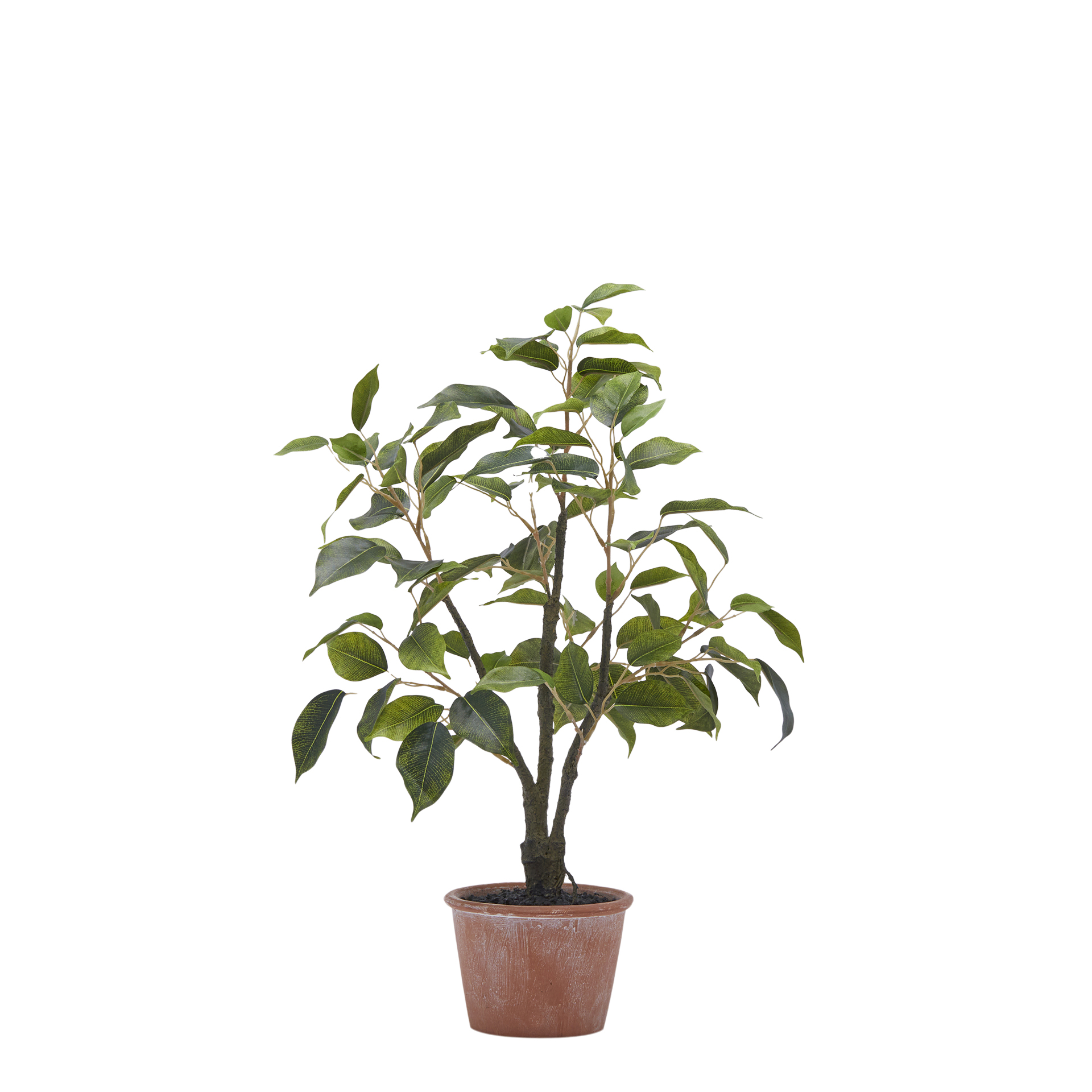 Kunstpflanze Ficusbaum H: 51 cm Edg