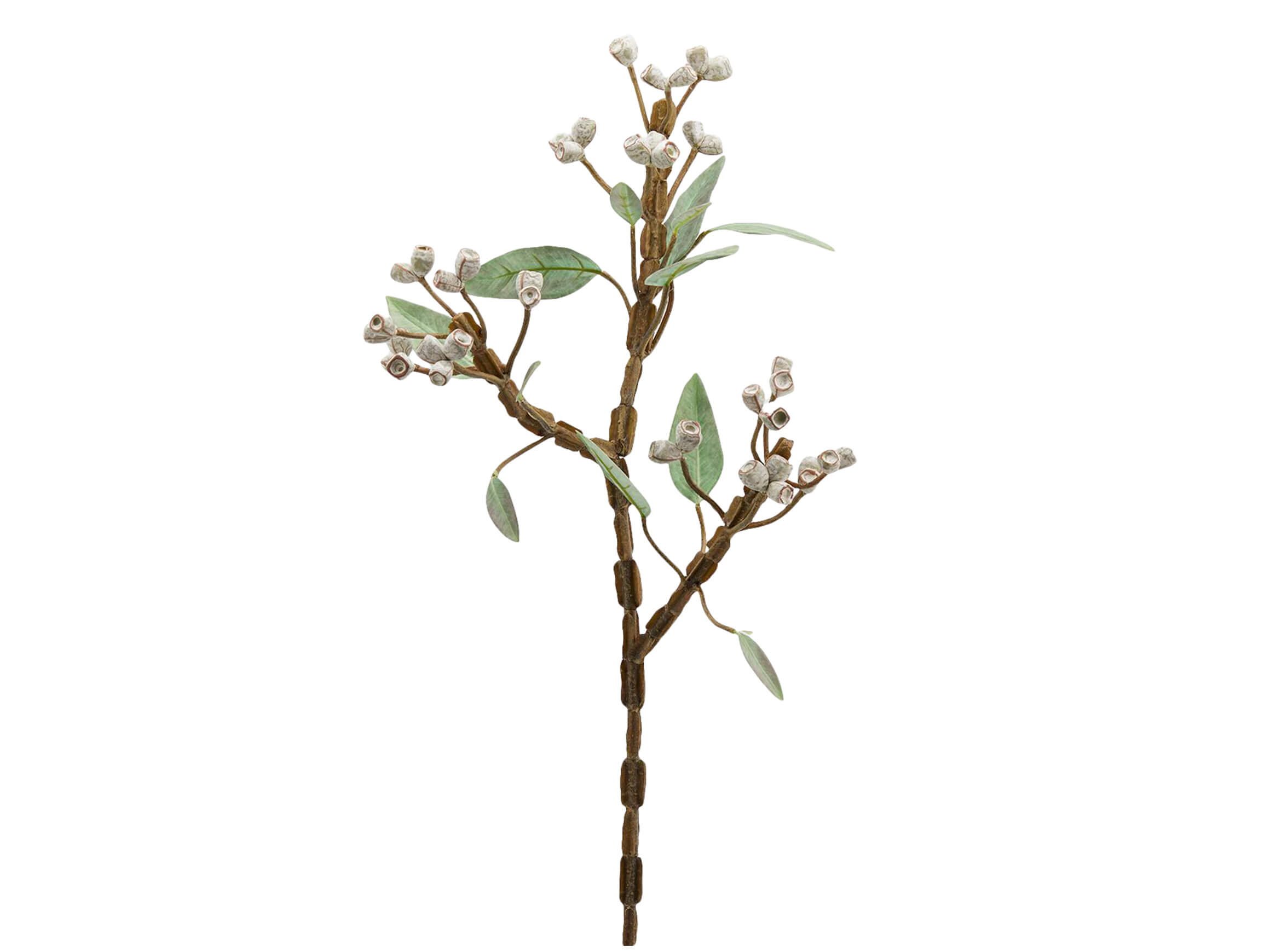 Edg Kunstblume Eucalypthus Weiss-Grün H: 80 cm  | Schubiger Möbel