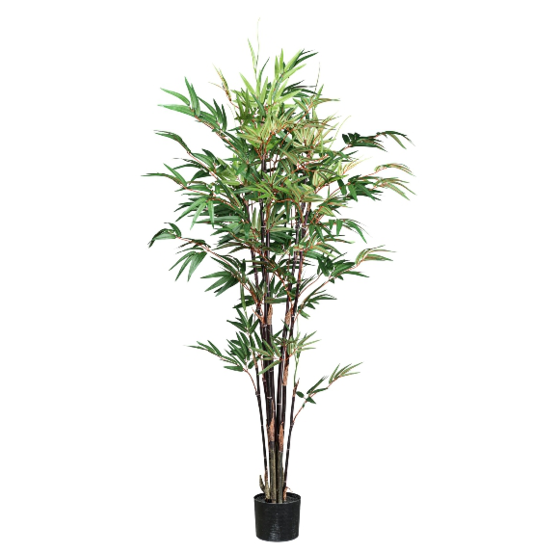 Kunstpflanze Bambus im Topf H: 160 cm Gasper / Farbe: