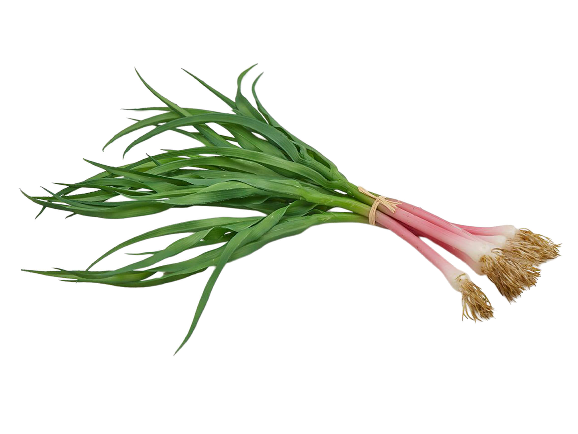 Kunstblume Frühlingszwiebel H: 30 cm Edg