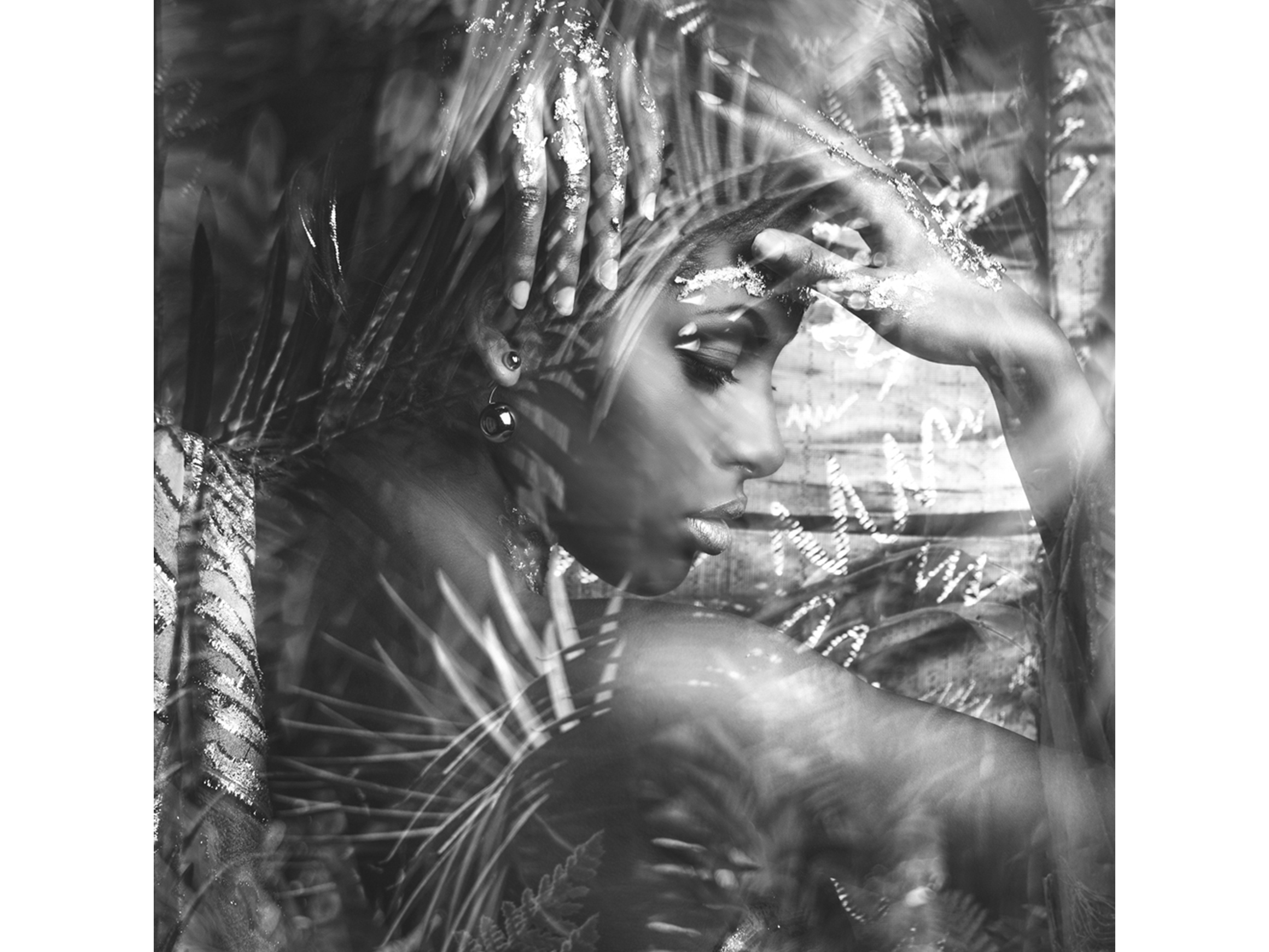 Bild Exotische Schönheit image LAND