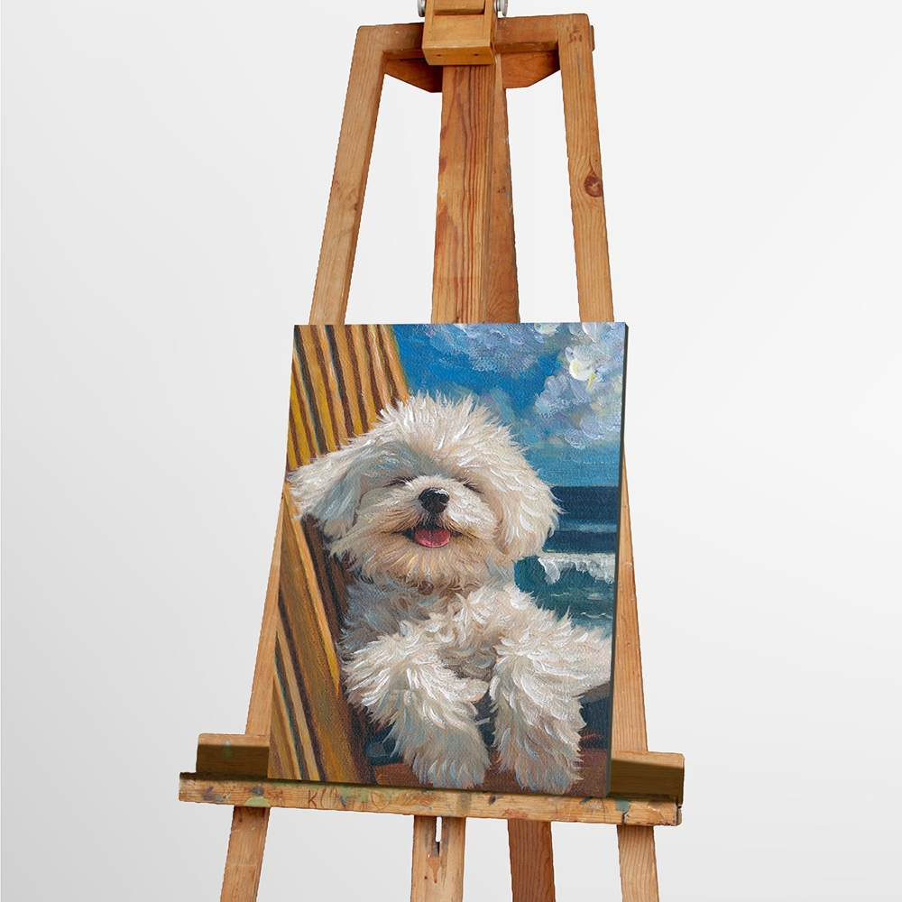 Bild Fluffy Summer image LAND