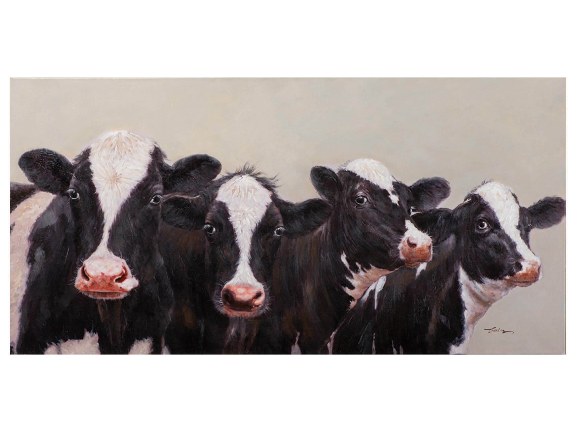 Bild Neugierige Kühe image LAND