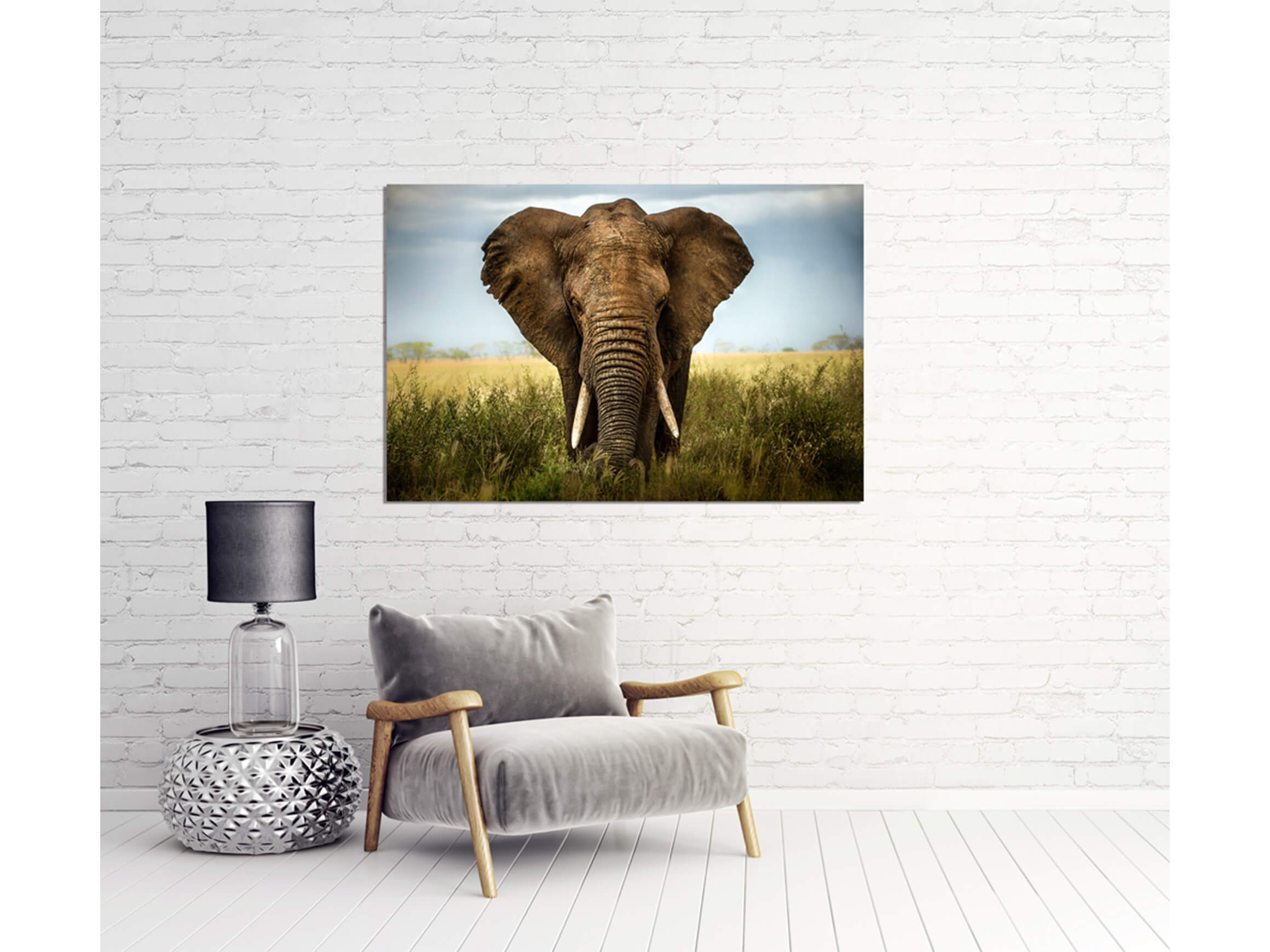 Digitaldruck auf Acrylglas Grosser Elefant image LAND / Grösse: 150 x 100 cm