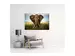 Digitaldruck auf Acrylglas Grosser Elefant image LAND / Grösse: 150 x 100 cm