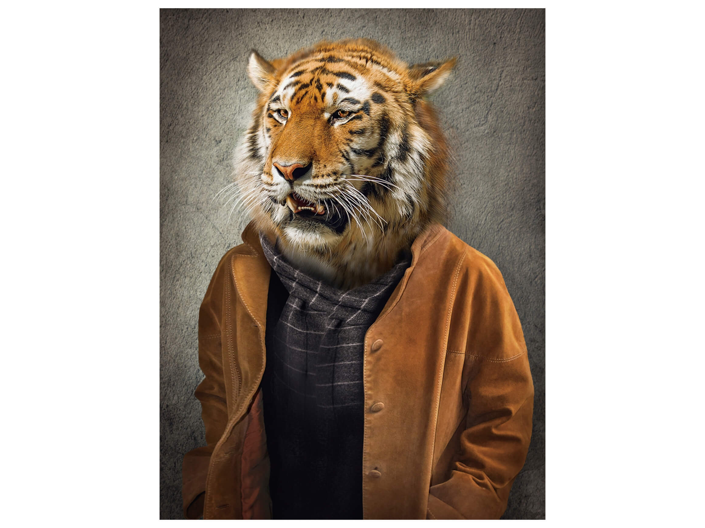 Digitaldruck auf Glas Tiger im Mantel image LAND