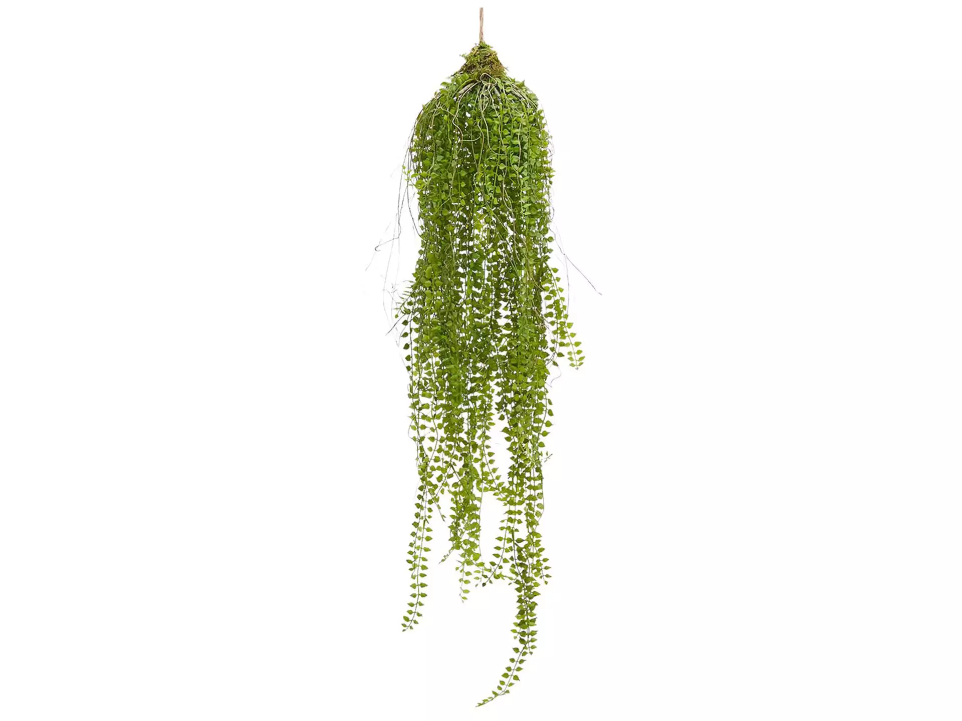 Kunstblume Persischer Farn Grün H: 97 cm Edg