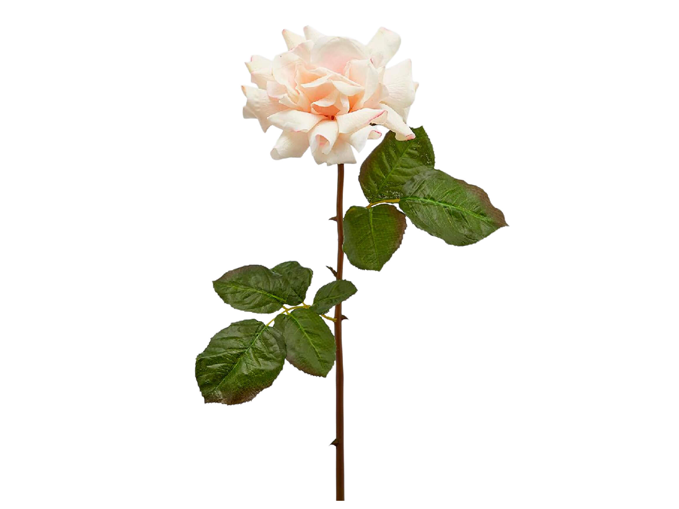 Kunstblume Königsrose Creme H: 55 cm Edg / Farbe: Creme