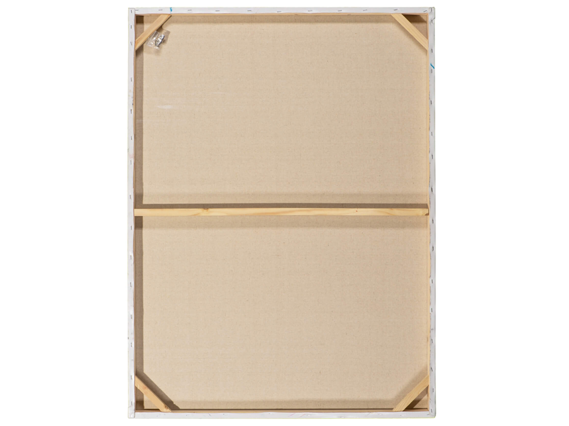 Bild Schilf im Wind image LAND