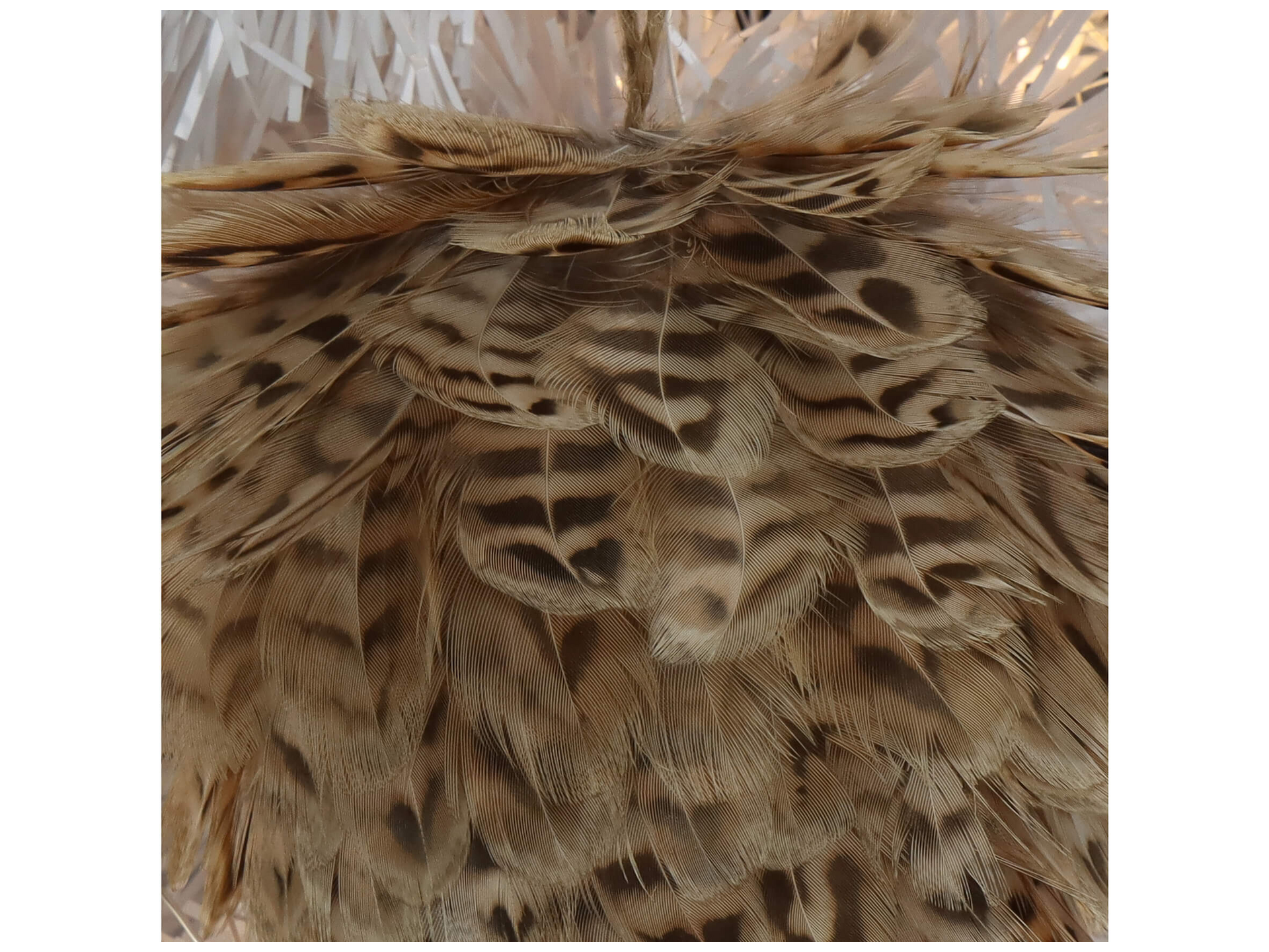 Kunstblume Feder-Clip Natur D: 11 cm Kersten Kunstblume Feder-Clip Natur D: 11 cm Kersten
