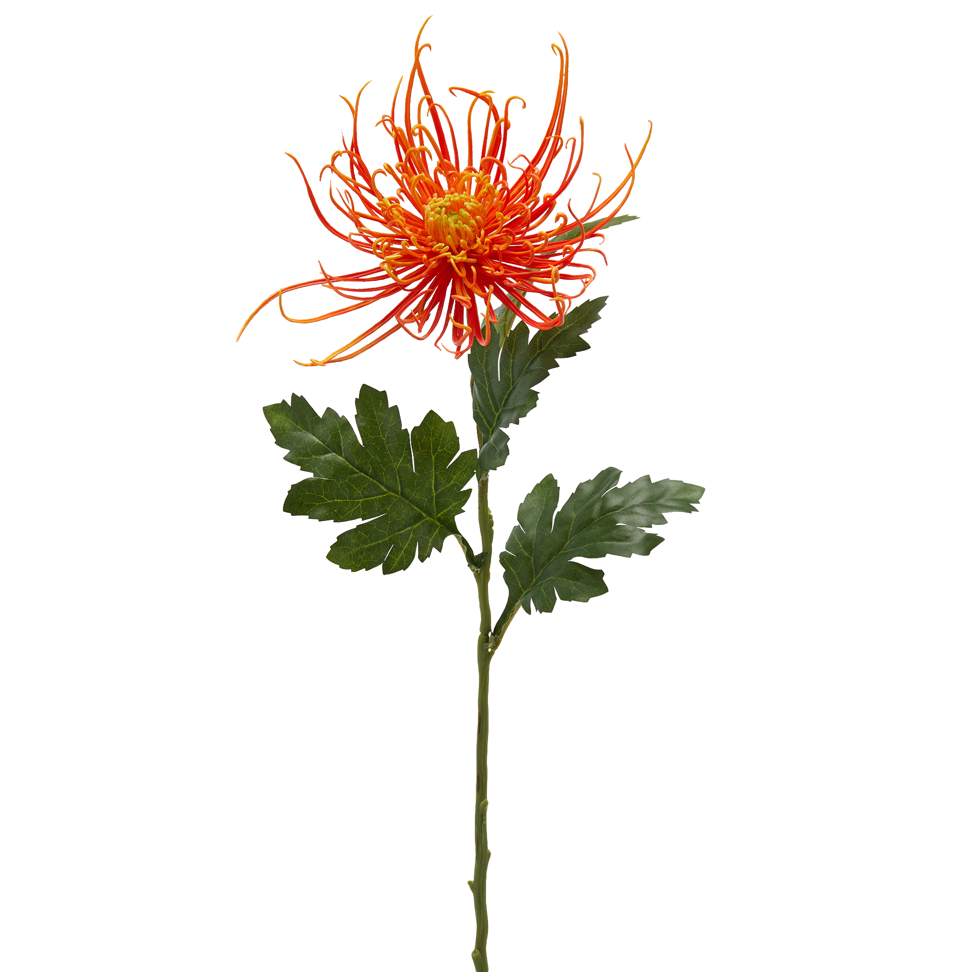 Kunstblumen Chrysanthemenzweig H: 75 cm Edg