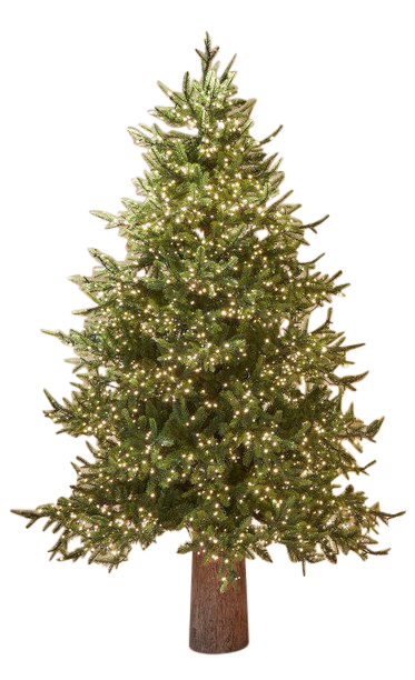 Edg Weihnachtsbaum Pino 3000 Led H: 180 cm  | Schubiger Möbel