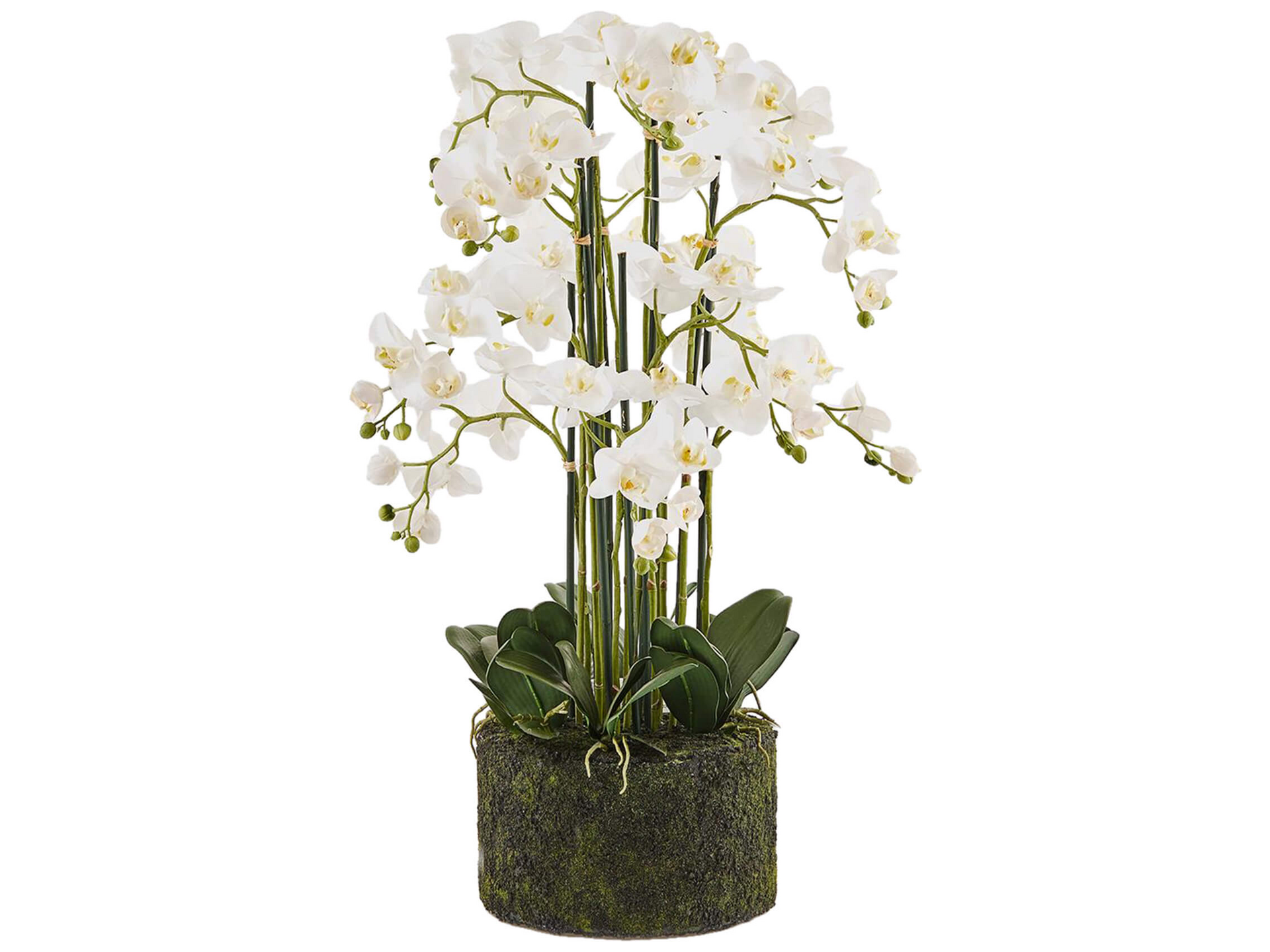 Kunstblumen Orchidee Phalaenopsis Weiss H: 90 cm Edg Kunstblumen Orchidee Phalaenopsis Weiss H: 90 cm Edg