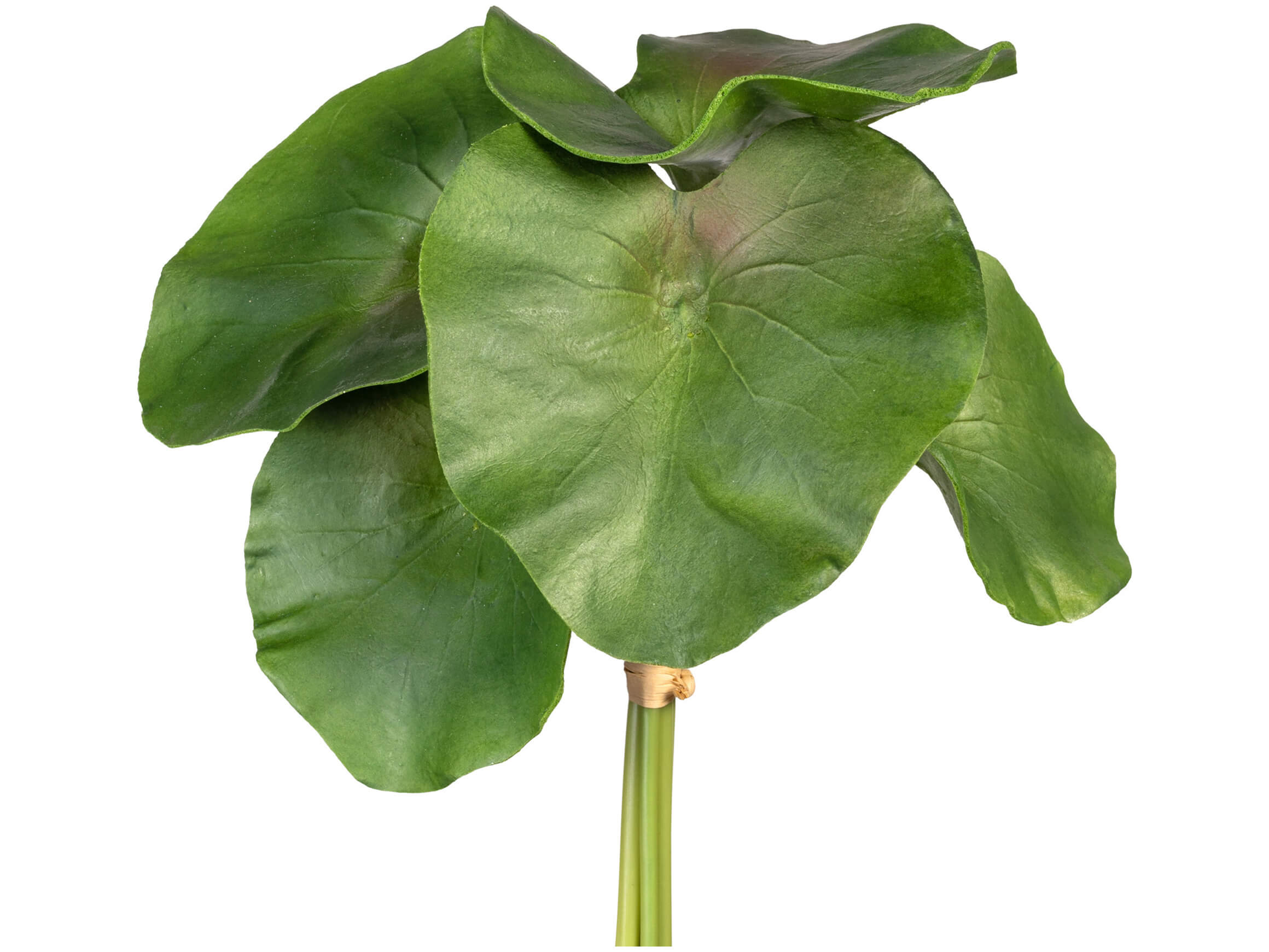 Gasper Kunstblume Seerosenblätter H: 27 cm  | Schubiger Möbel