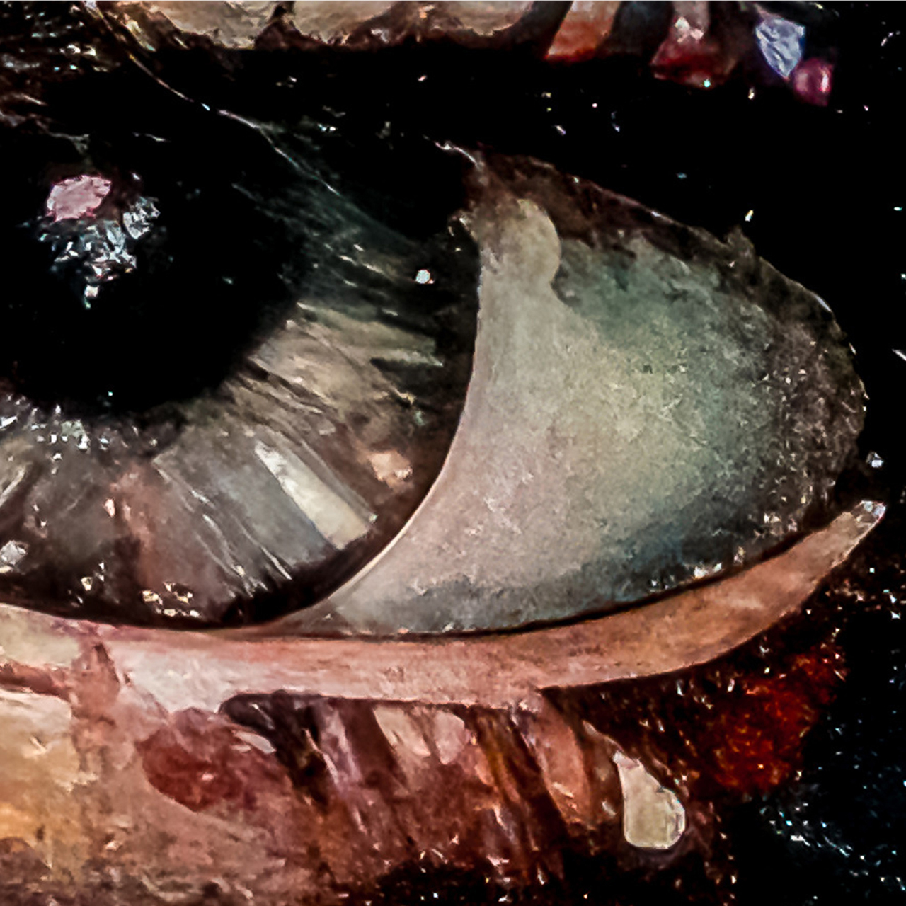 Canvas-Eyes in Colour-image LAND