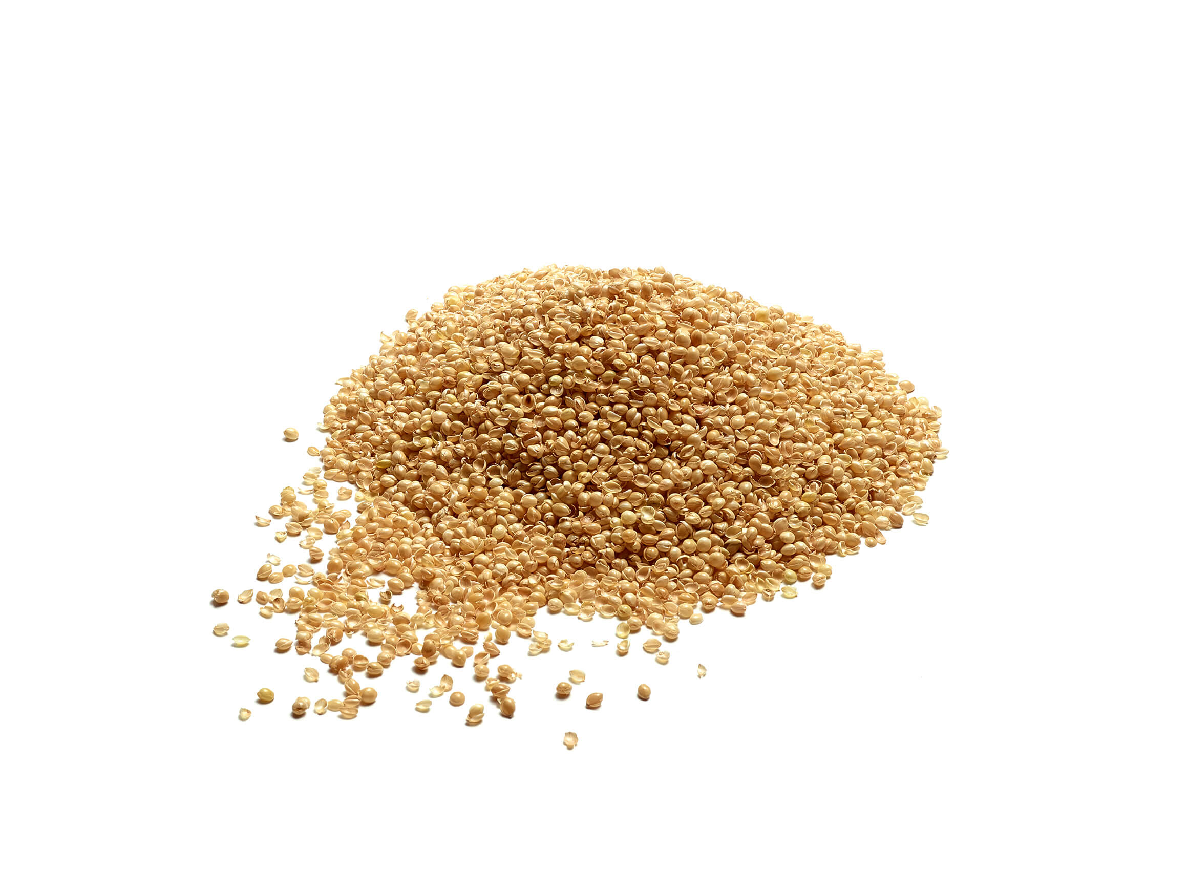 Kissen Capa Hirse Billerbeck / Farbe: Weiss / Material: