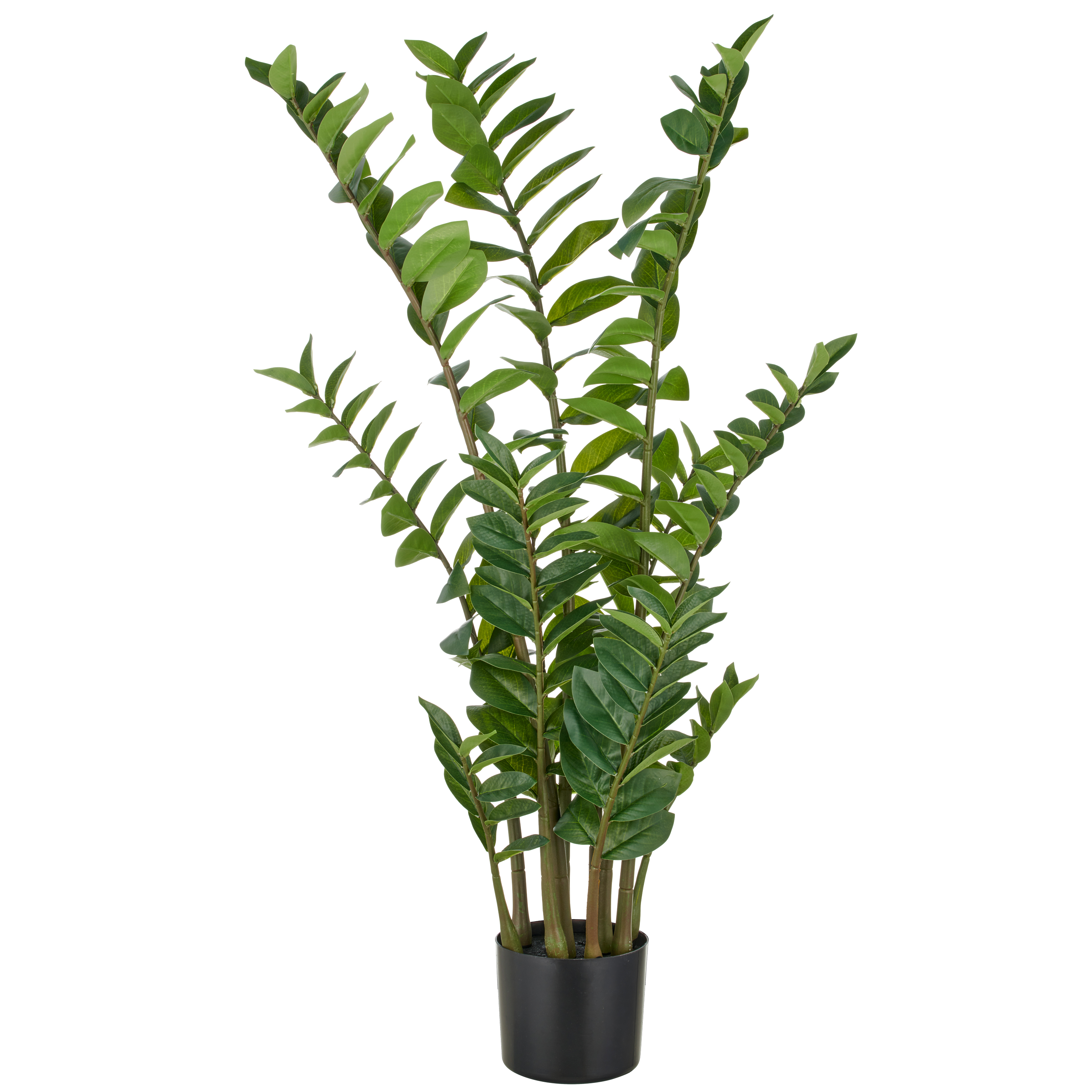 Gasper Kunstpflanze Zamifolia im Topf, Grün  | Schubiger Möbel
