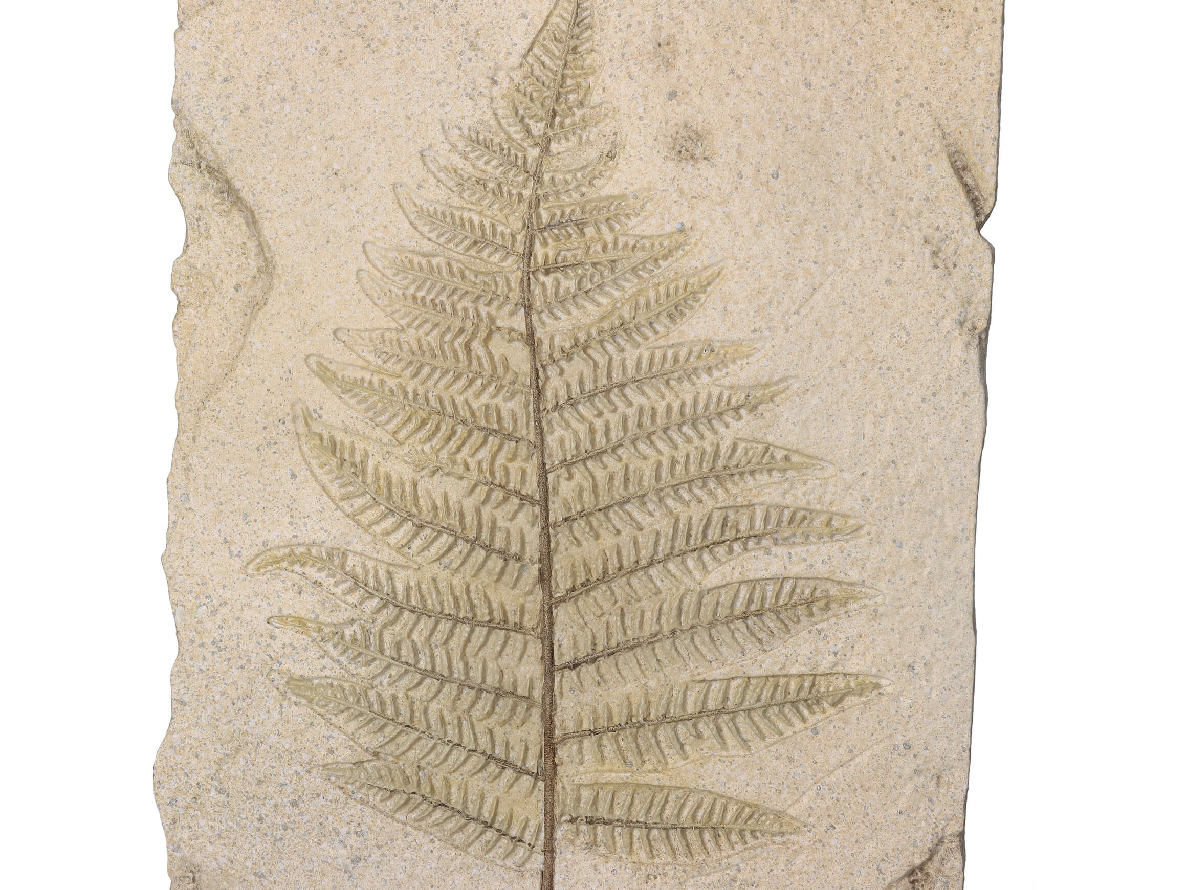 Skulptur Ornament Blätter H: 40 cm Kersten