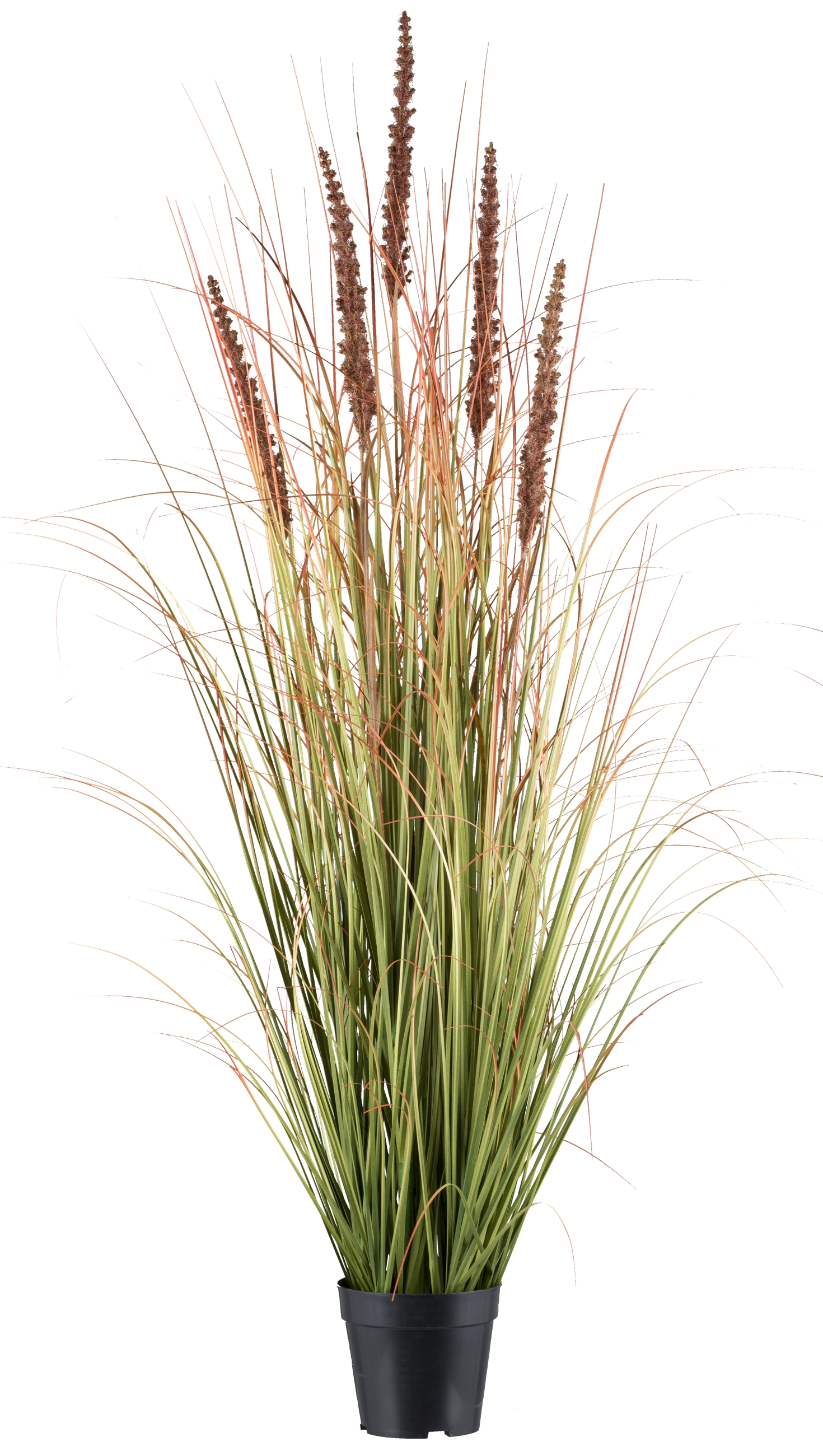 Kunstpflanzen Grasbusch mit Hirse, Mokka H: 123 cm Gasper / Farbe: