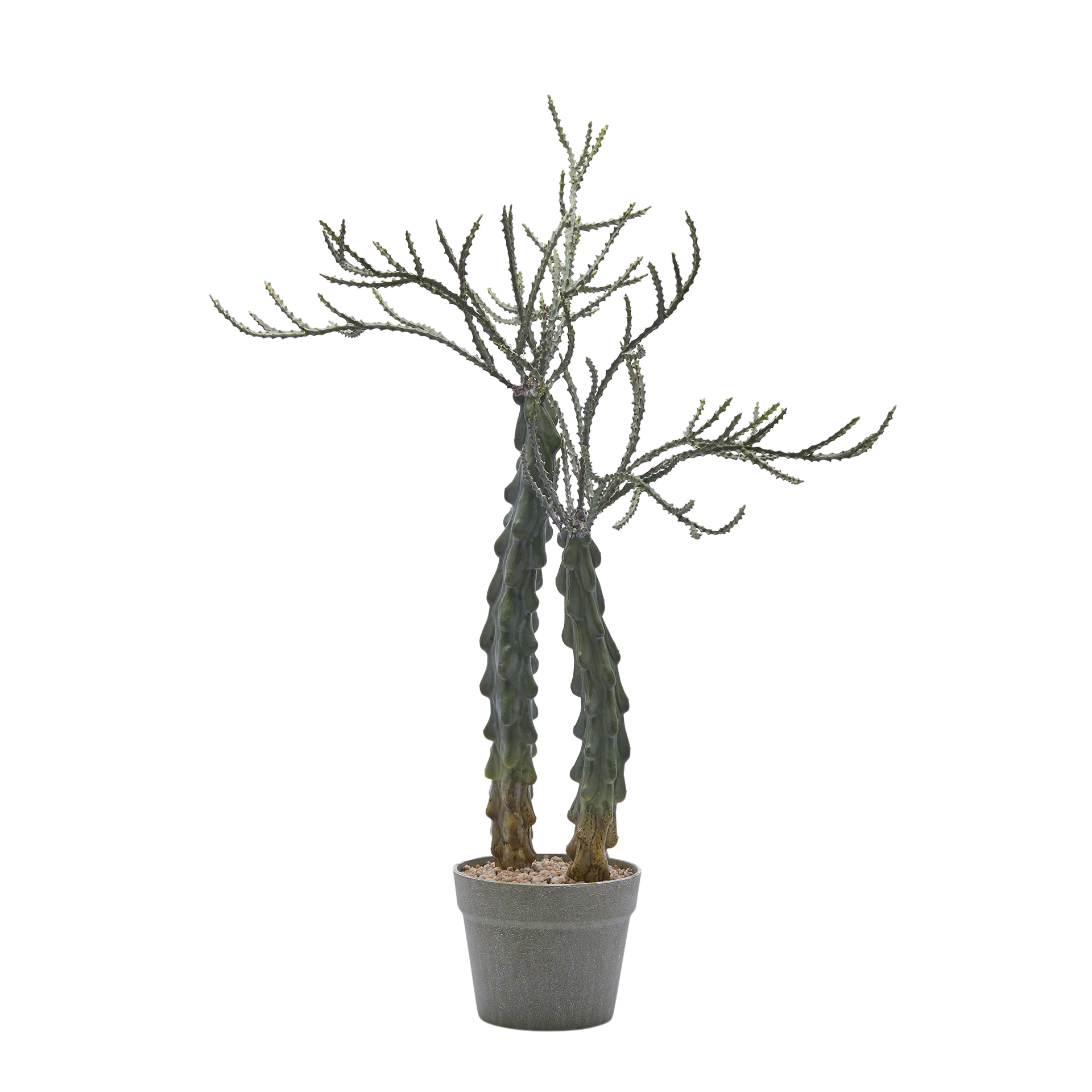 Edg Kunstpflanze Kakuts im Topf H: 75 cm  | Schubiger Möbel