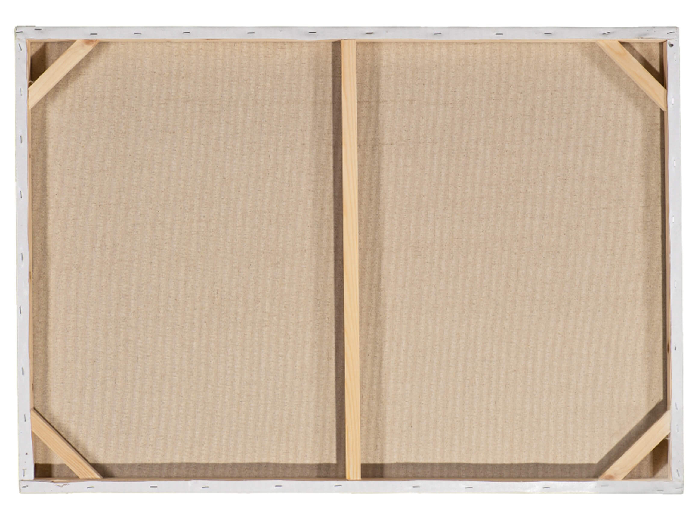 Bild Indianische Waschbären image LAND