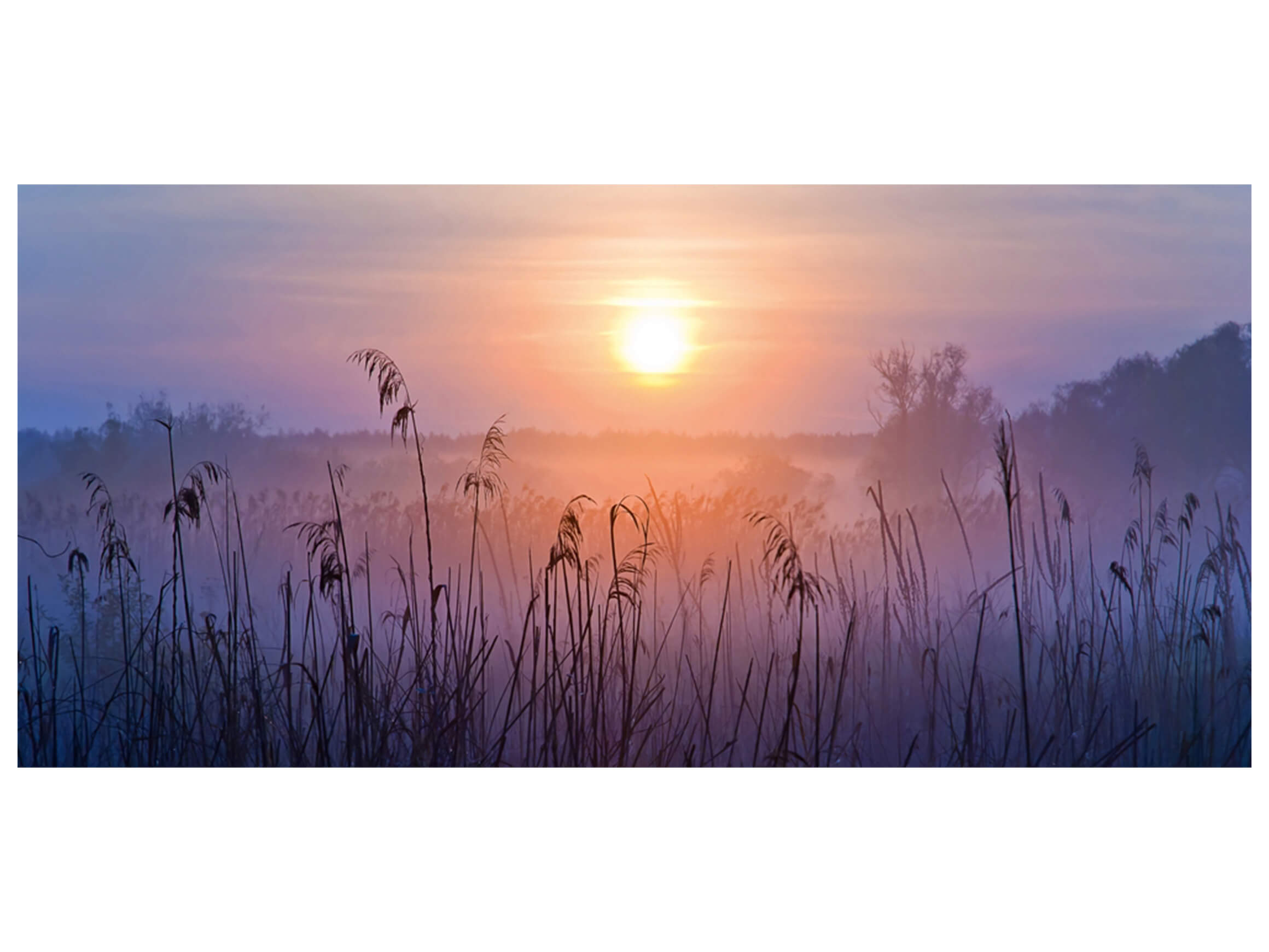 Digitaldruck auf Glas Sonnenaufgang im Nebel image LAND