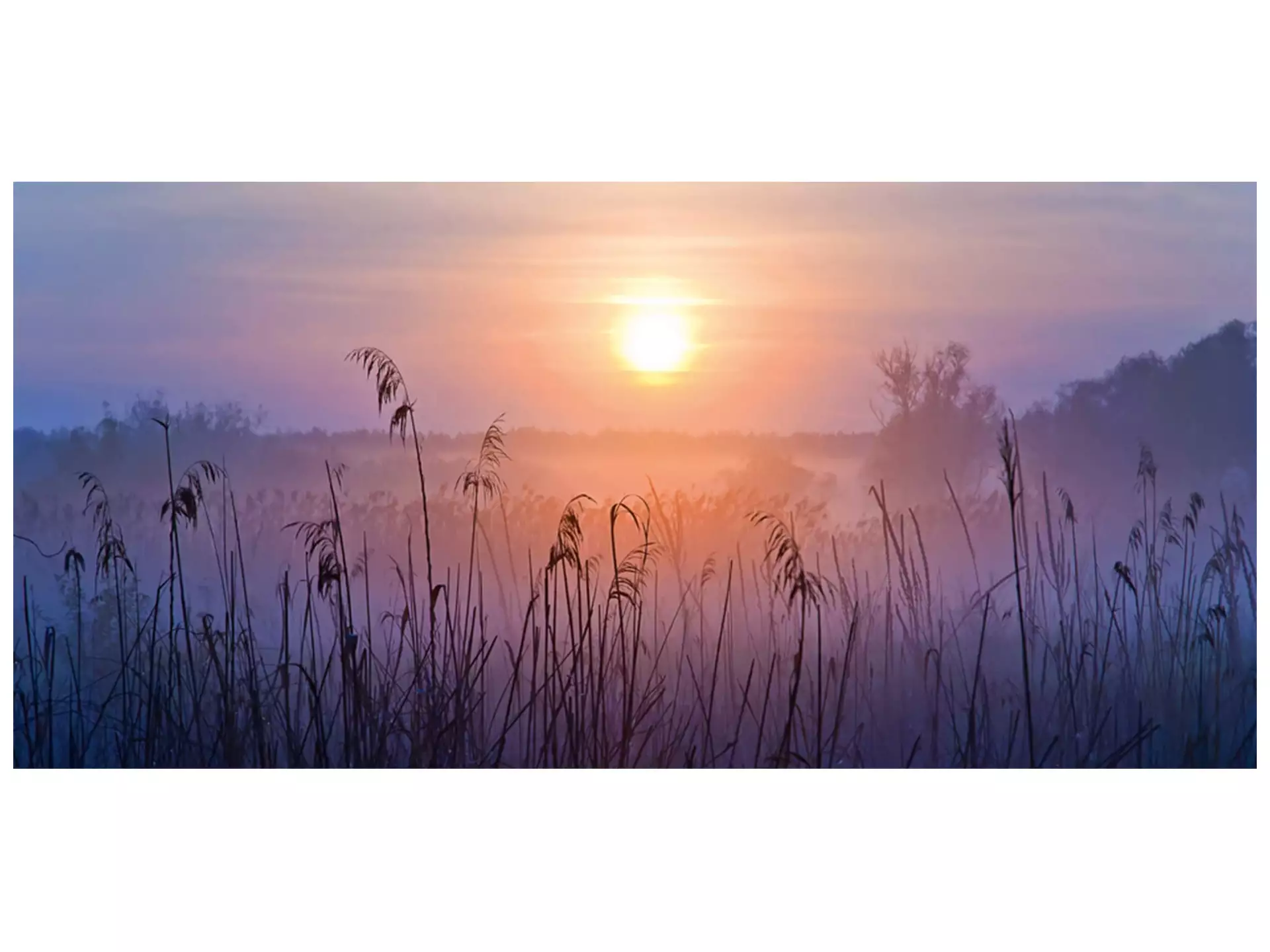 Digitaldruck auf Glas Sonnenaufgang im Nebel image LAND