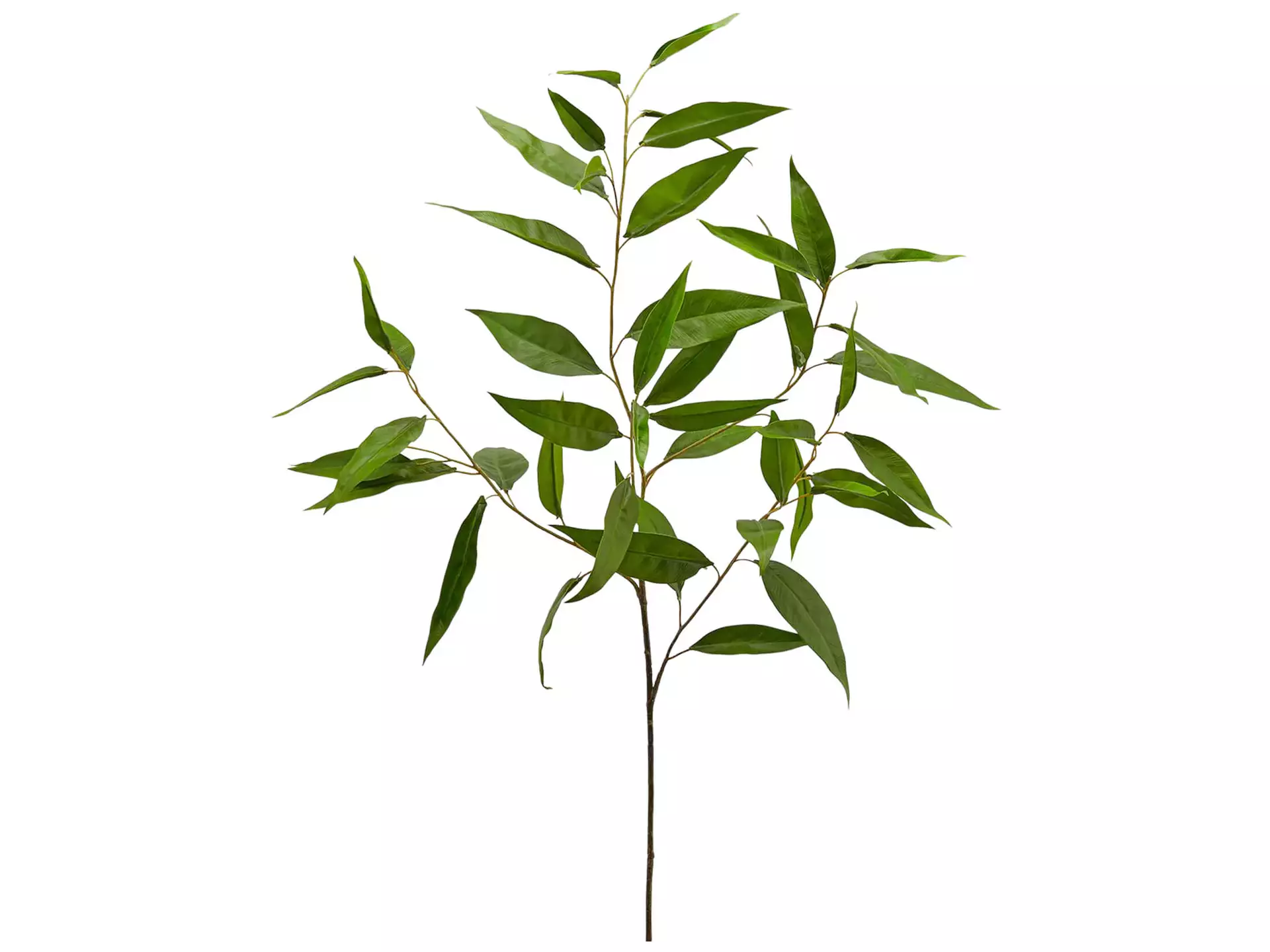 Kunstblumen Eukalyptus Grün H: 95 cm Edg