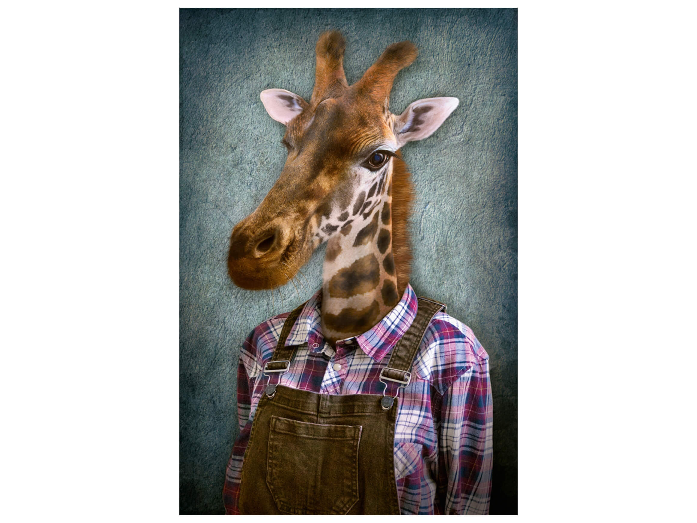 Digitaldruck auf Glas Giraffe mit Latzhose image LAND