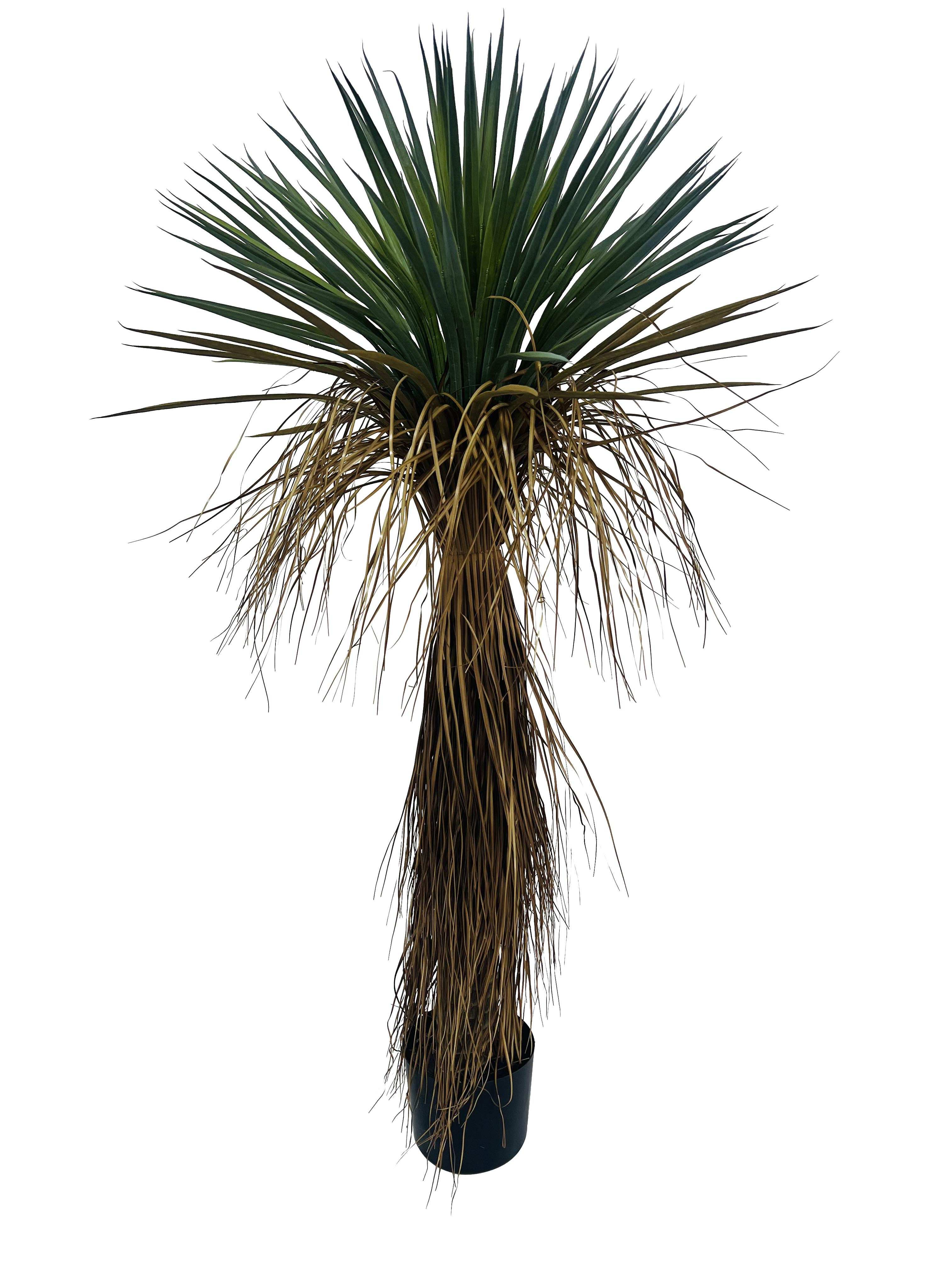 Bizzotto Kunstpflanzen Yucca Rostrata im Kunststofftopf H: 120 cm Grün | Schubiger Möbel