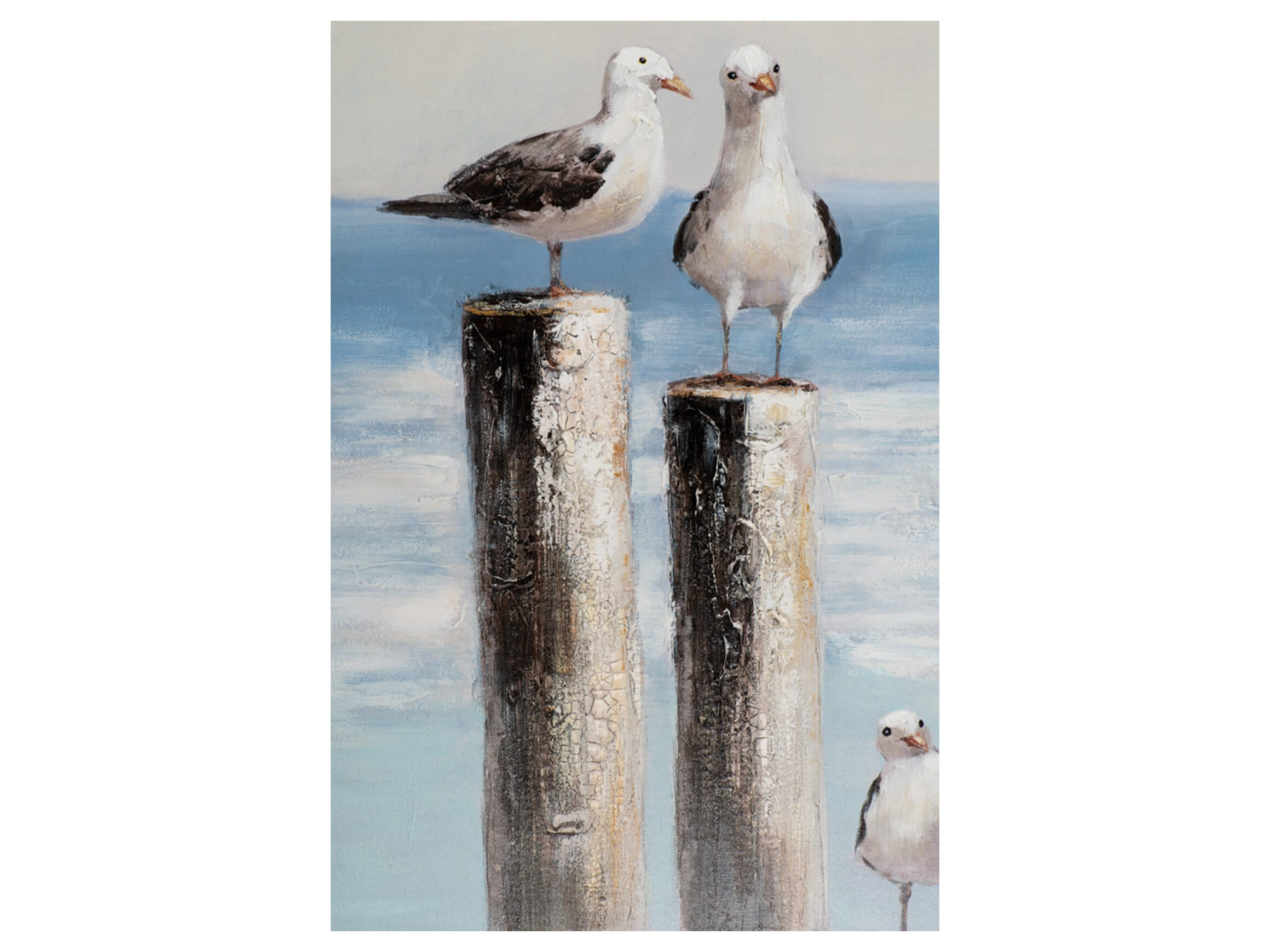 Bild Möwen Auf Holzpfählen 3 image LAND