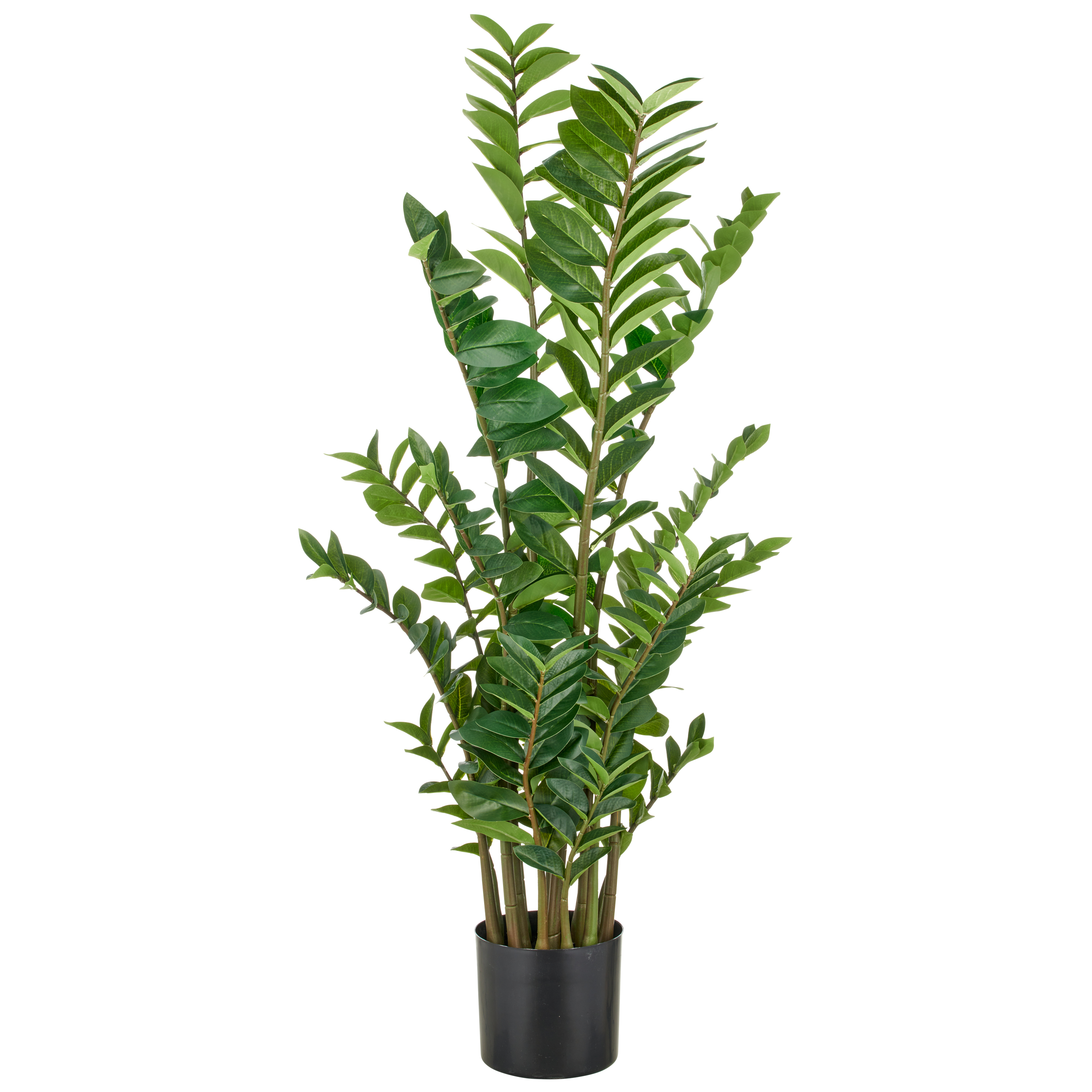 Gasper Kunstpflanze Zamifolia H: 130 cm  | Schubiger Möbel