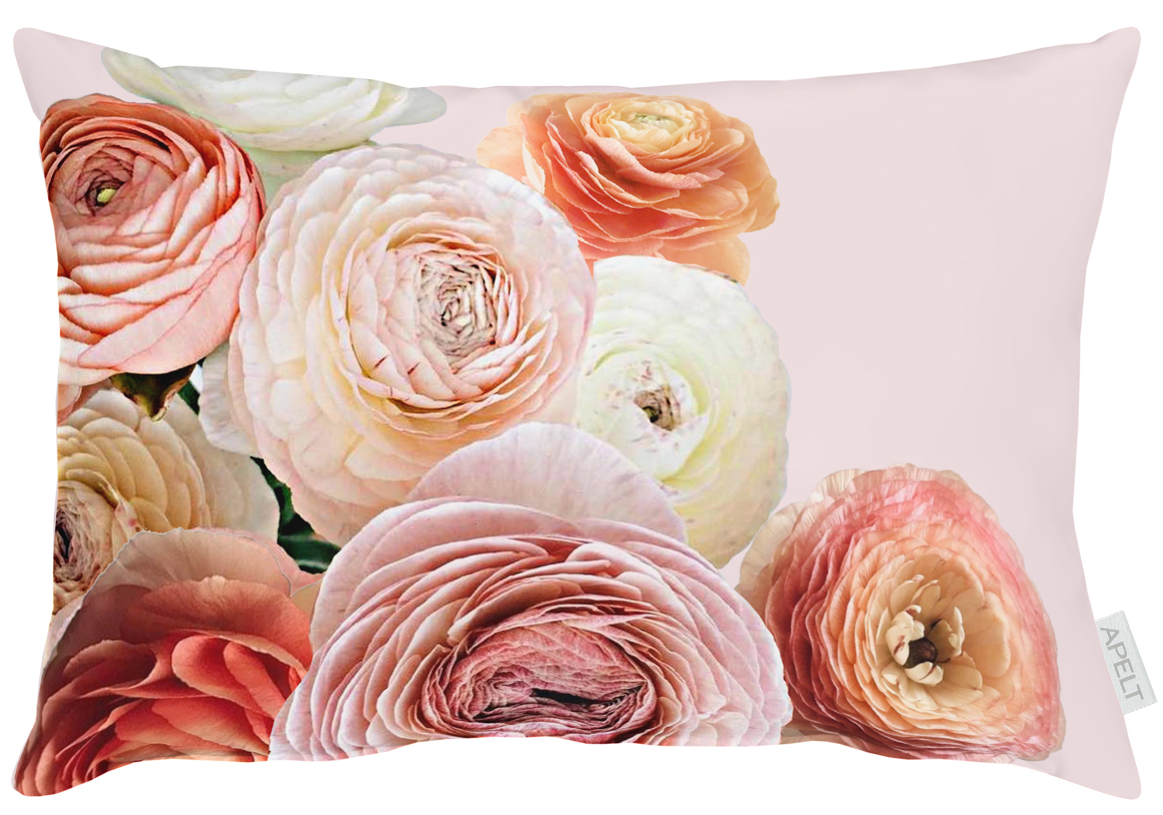 Apelt Kissenhülle Ranunkeln Rosa 30x45 cm  | Schubiger Möbel