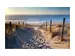 Digitaldruck auf Acrylglas Sandweg Zum Meer 2 image LAND / Grösse: 150 x 100 cm