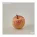 Kunstpflanze-Apfel Klein D: 6 cm-Edg
