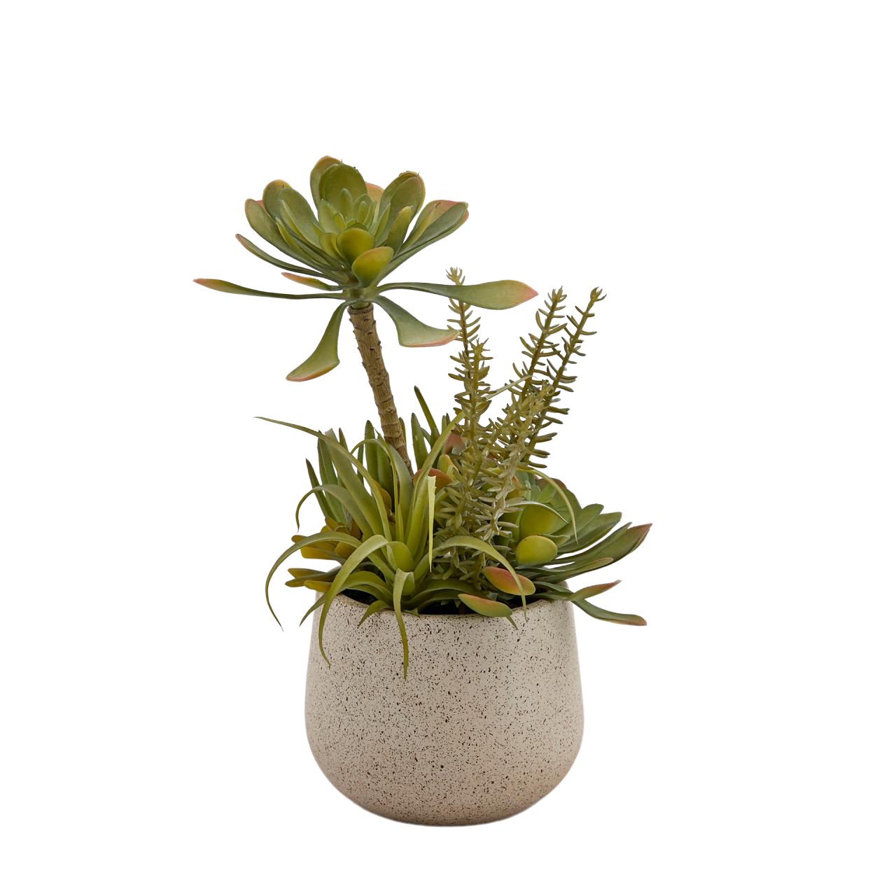 Kunstpflanze Succulenten Mix H: 30 cm Edg