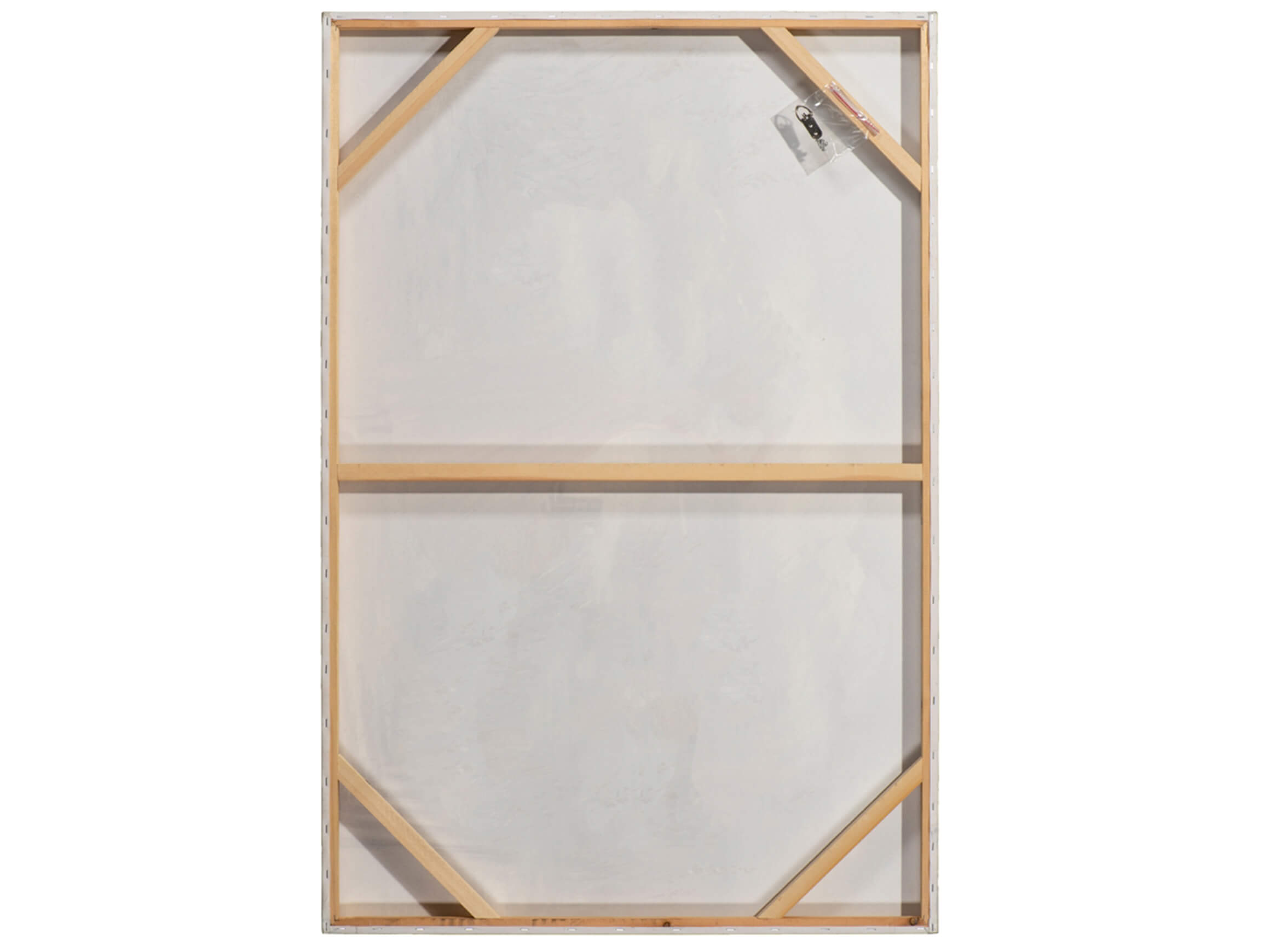 Bild Rückenansicht Geschmückte Schönheit 1 image LAND