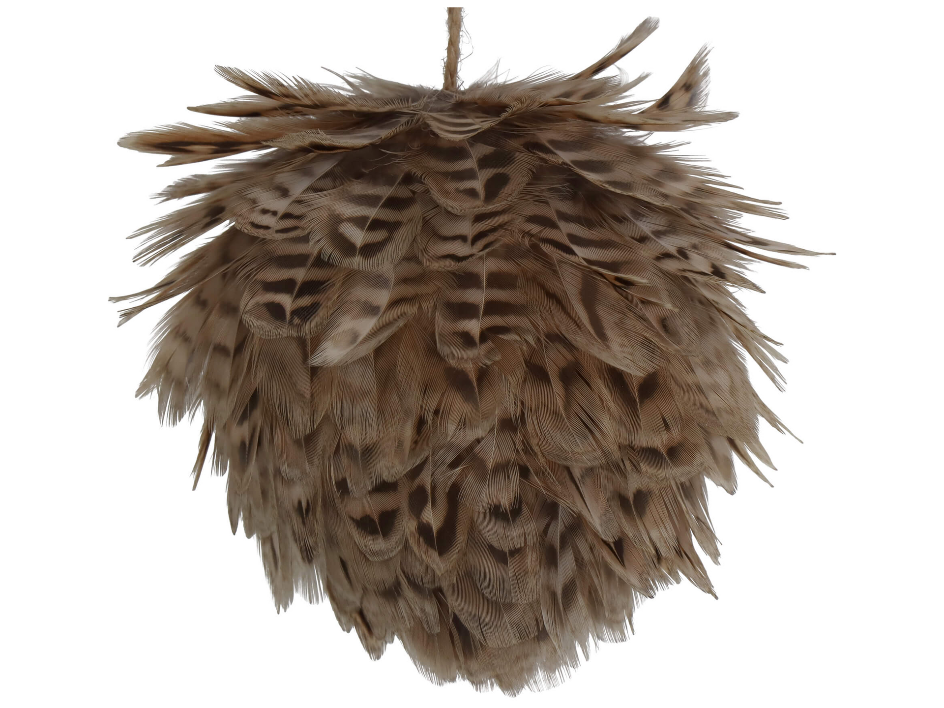 Kunstblume Feder-Clip Natur D: 11 cm Kersten Kunstblume Feder-Clip Natur D: 11 cm Kersten